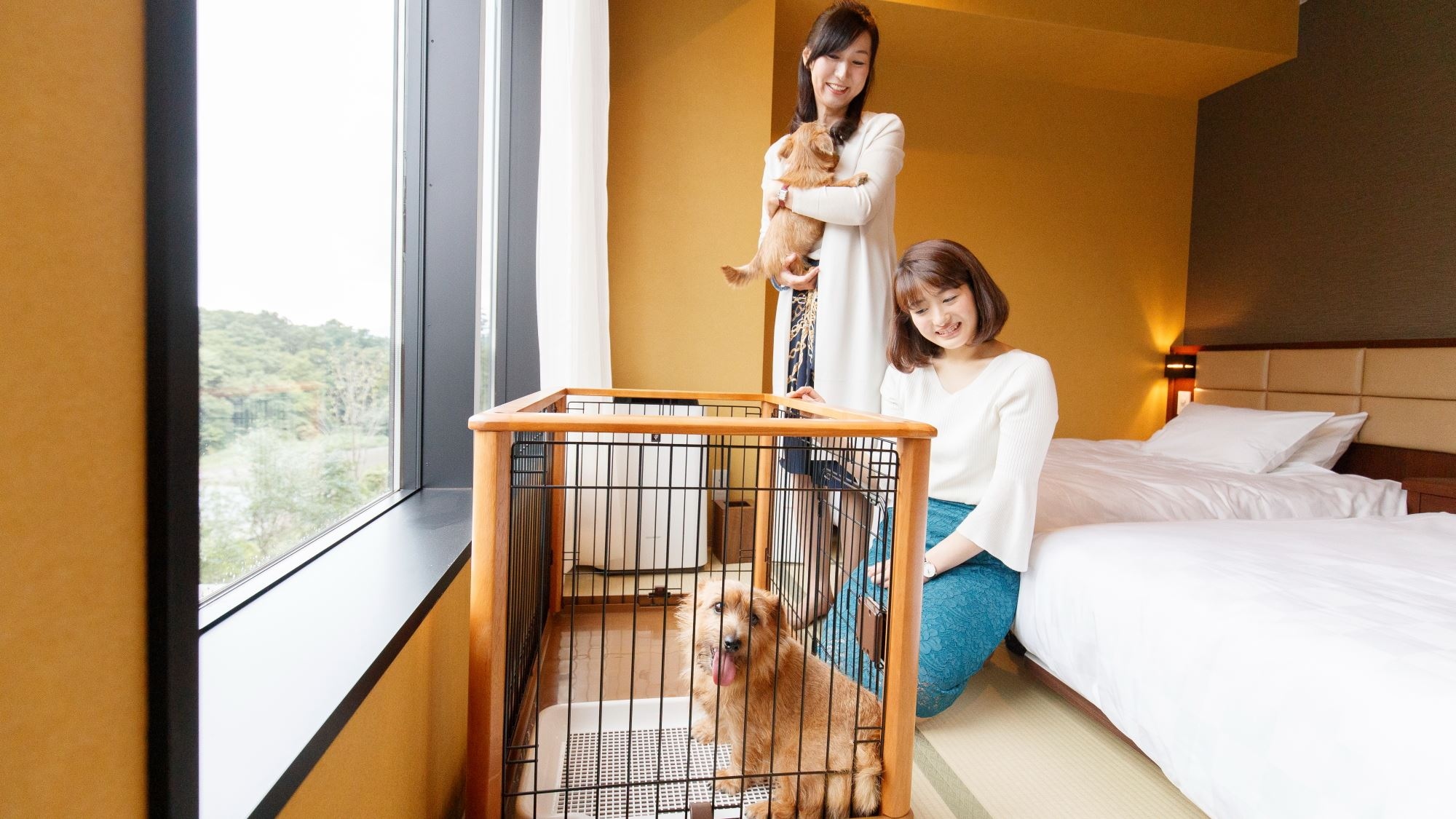  [Guest room for dogs] Up to two small dogs (6 kg or less) can be brought in one room.