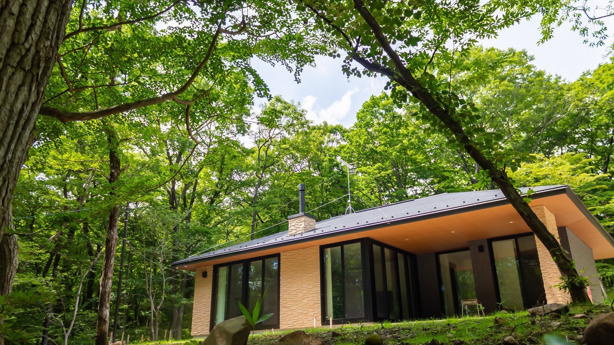 Eksterior HIRAYA PET 6039