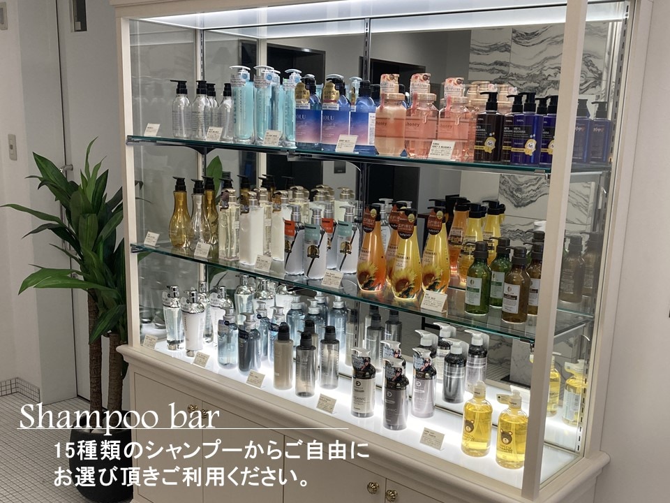 洗髮精（備有多種人氣商品）