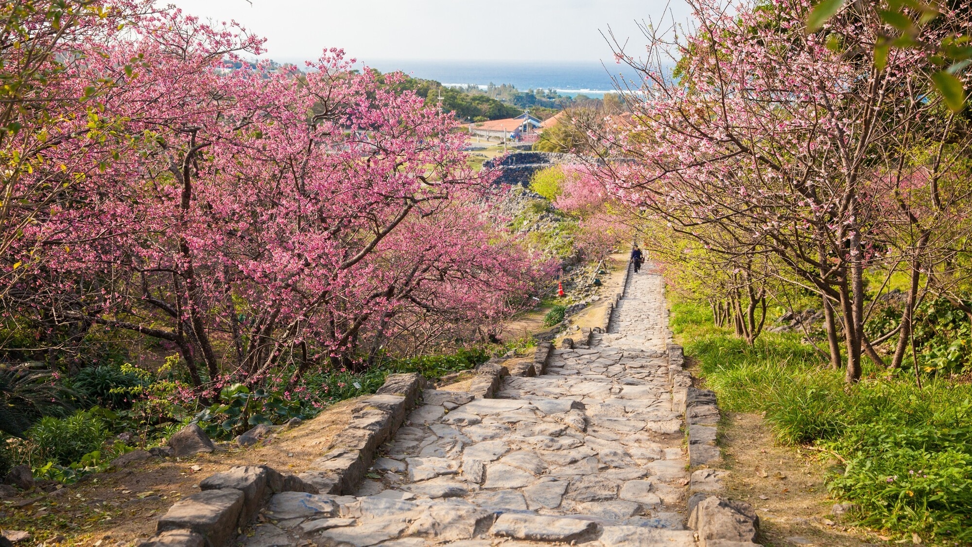 22 minutes to Nakijin Castle Ruins