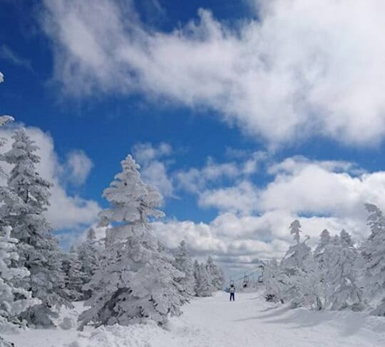 The frost-covered trees of Mt. Yokote