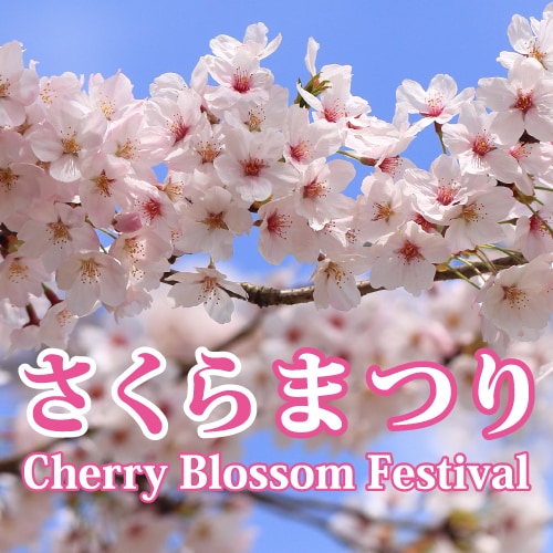 Kế hoạch Lễ hội hoa anh đào