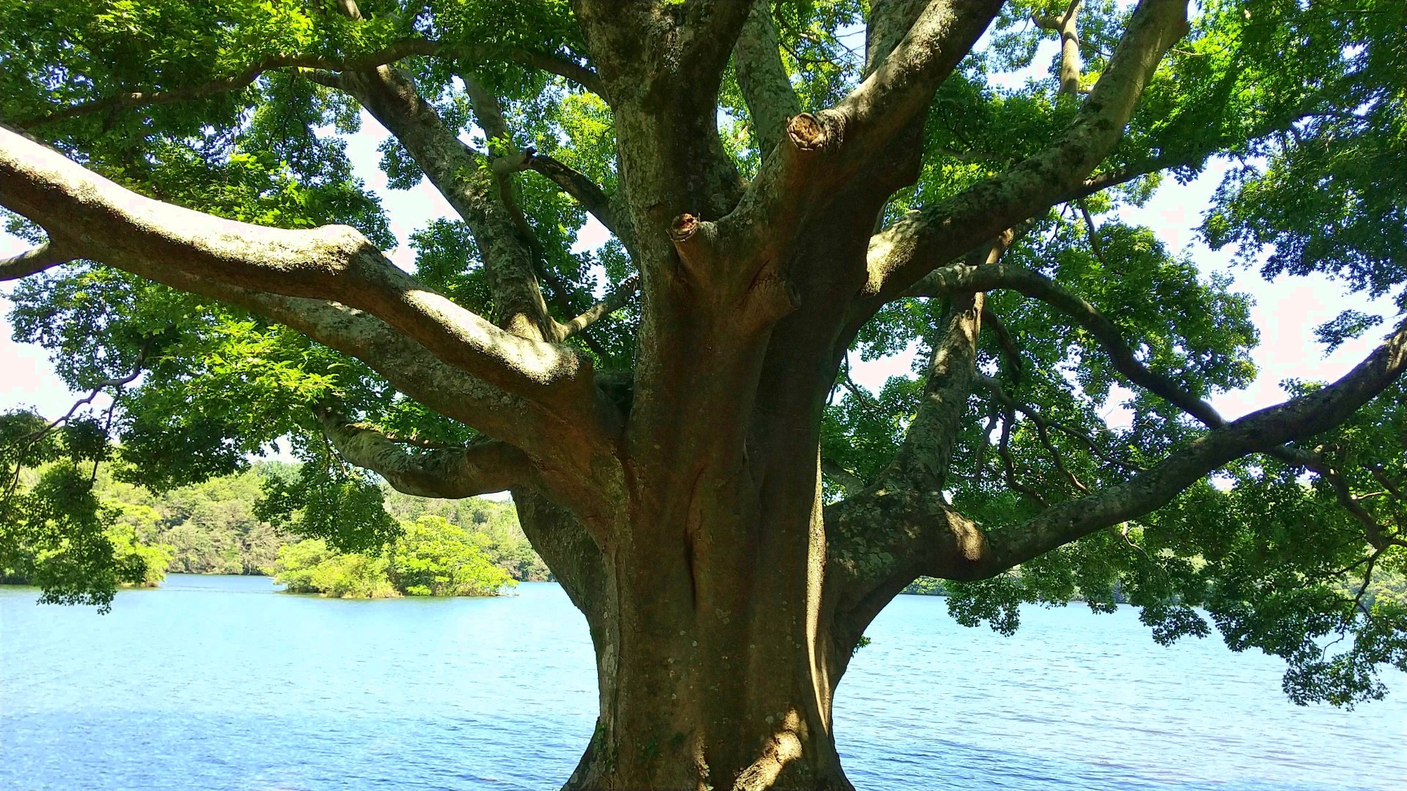 Lake Ippeki *One example