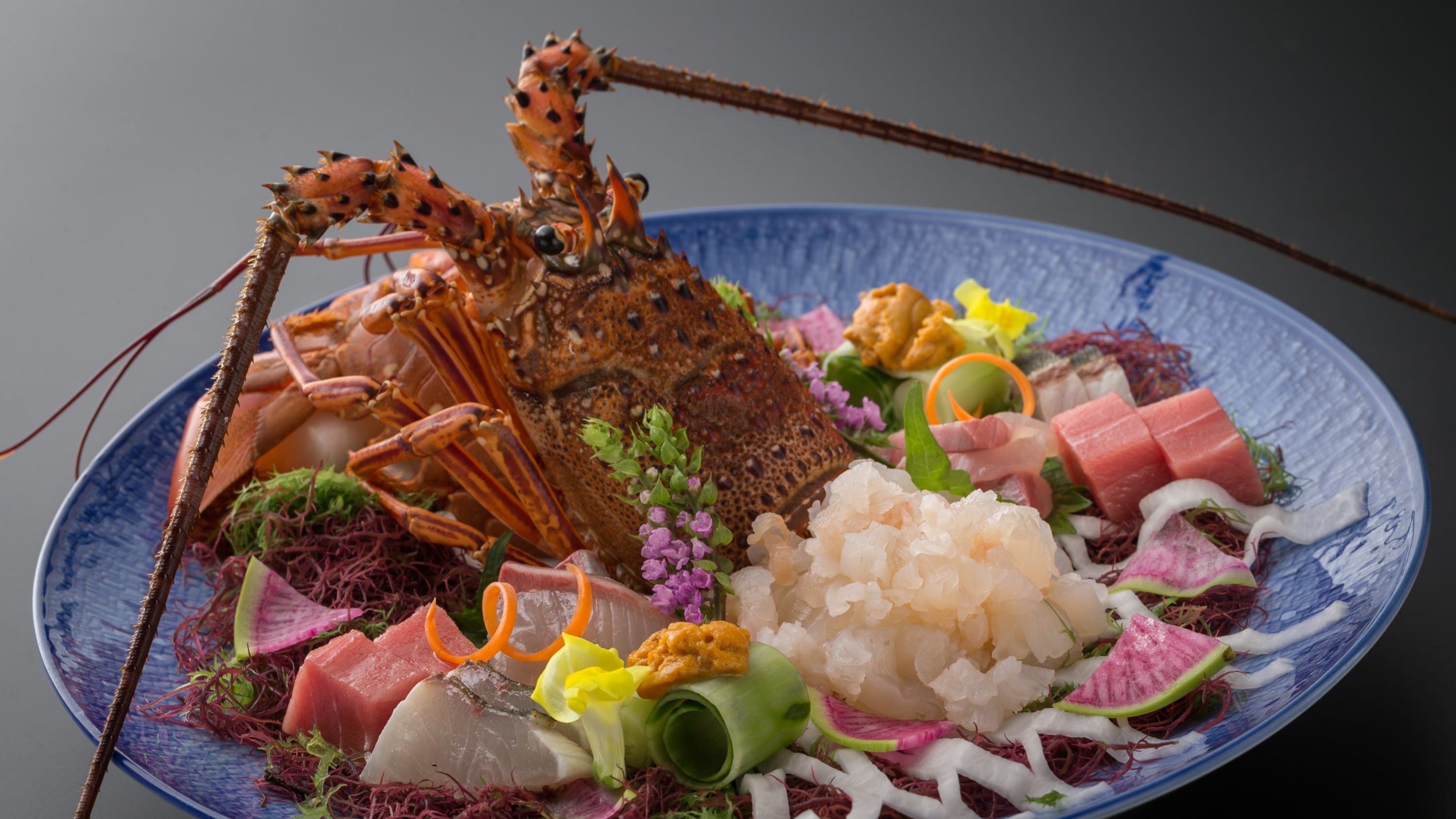 【spiny lobster】