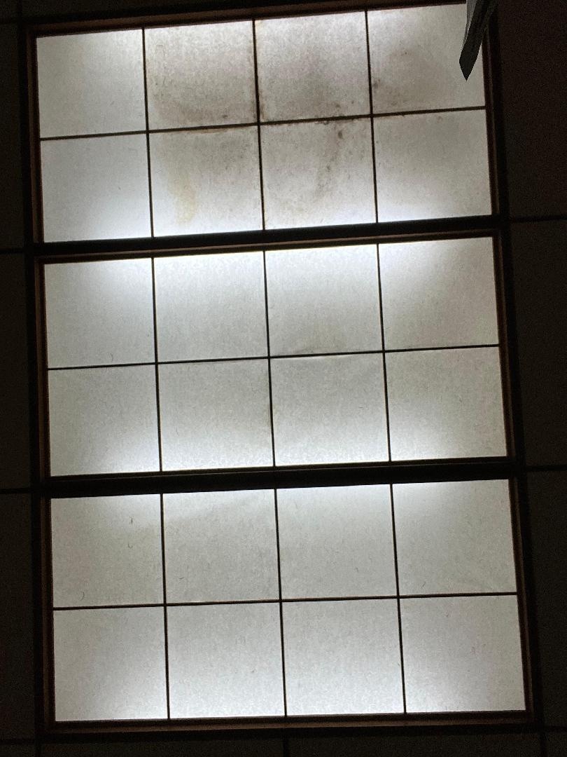 AEB884A4-D323-467B-A5D4-C32F0843EAD6.jpeg