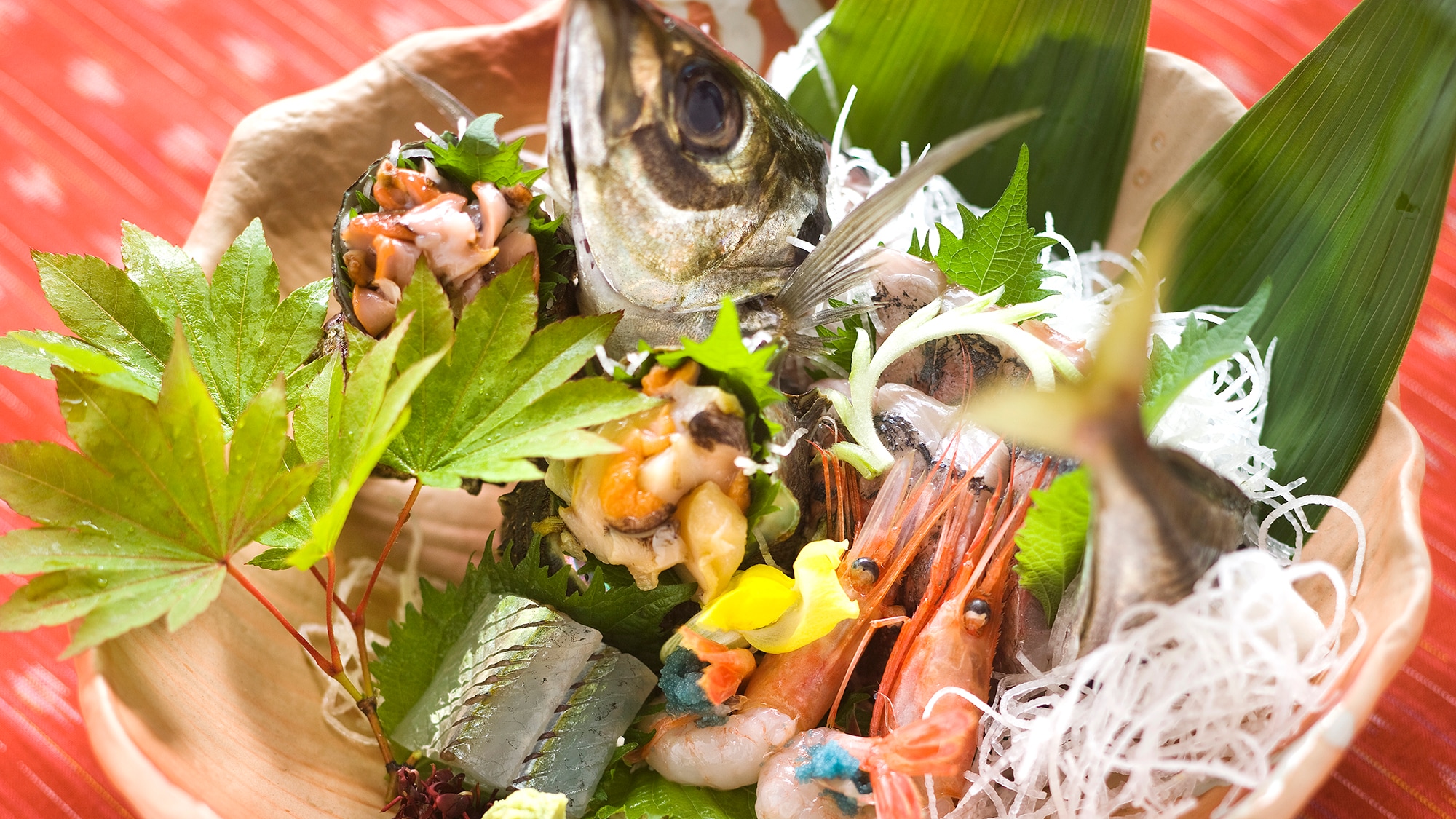 ■Cá đ  ịa phương được đánh bắt vào buổi sáng■