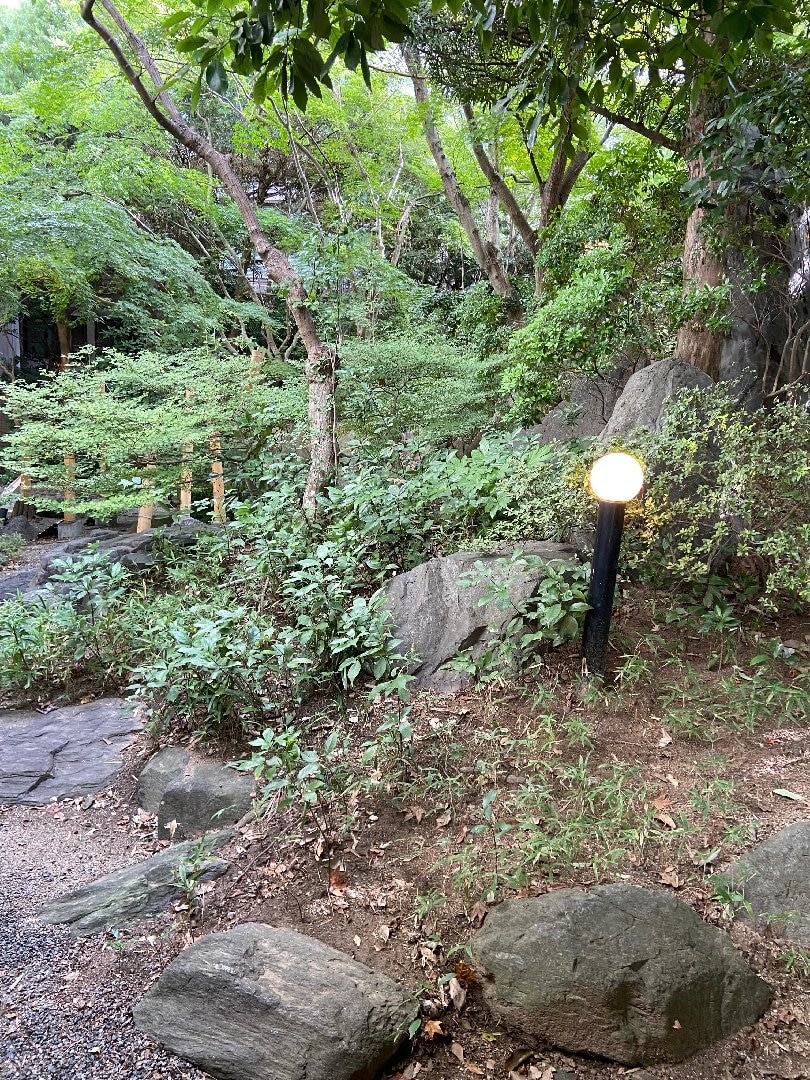 IMG_2919.jpeg