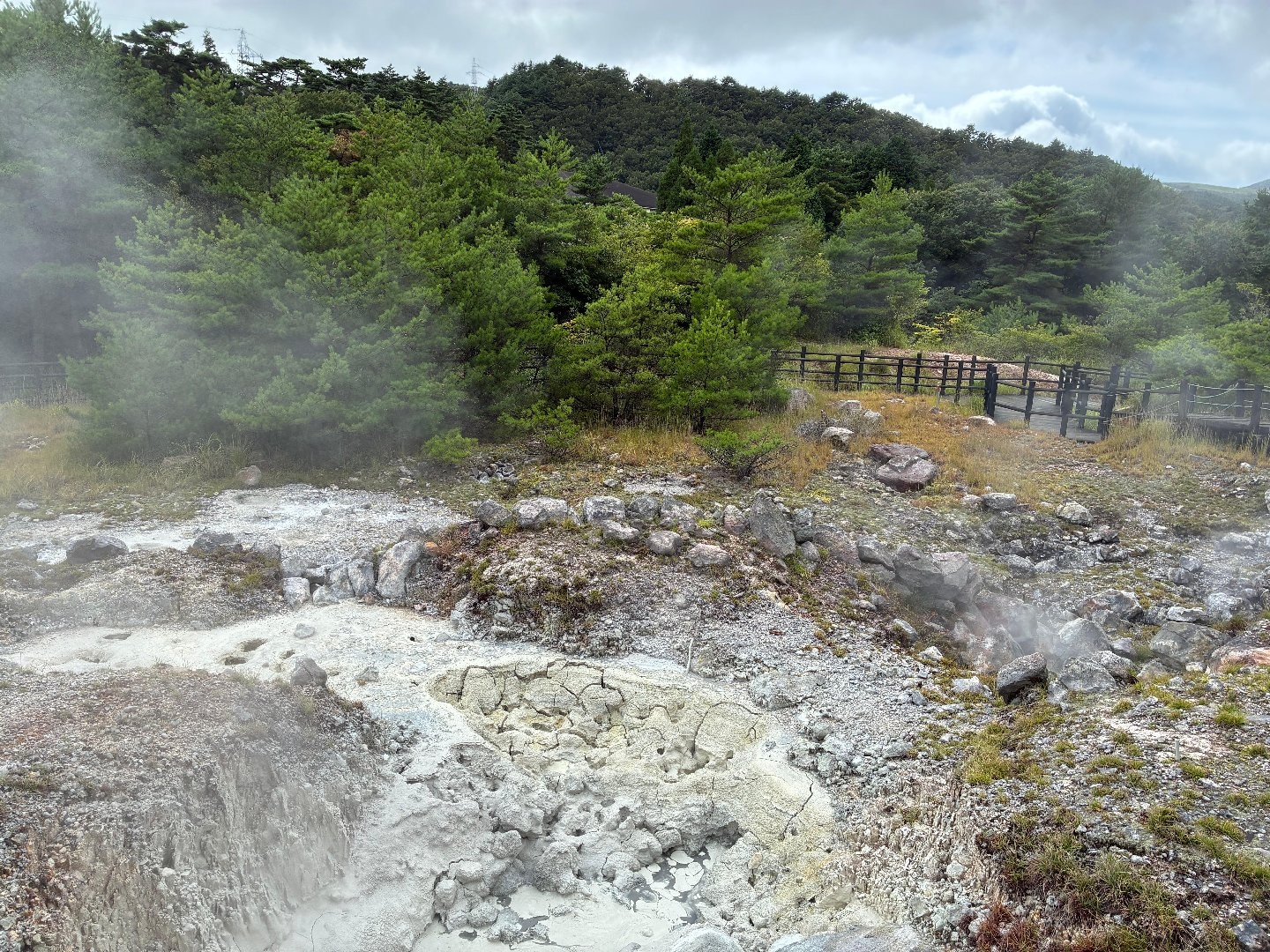 189795BE-7607-4D4B-8D48-E79444C39908.jpeg