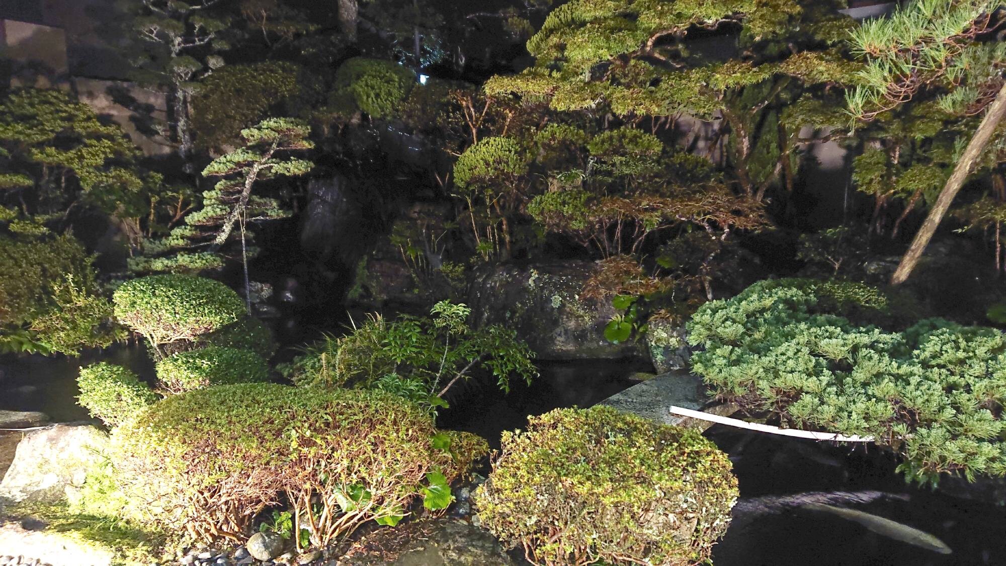 ・ Illuminated garden where carps swim