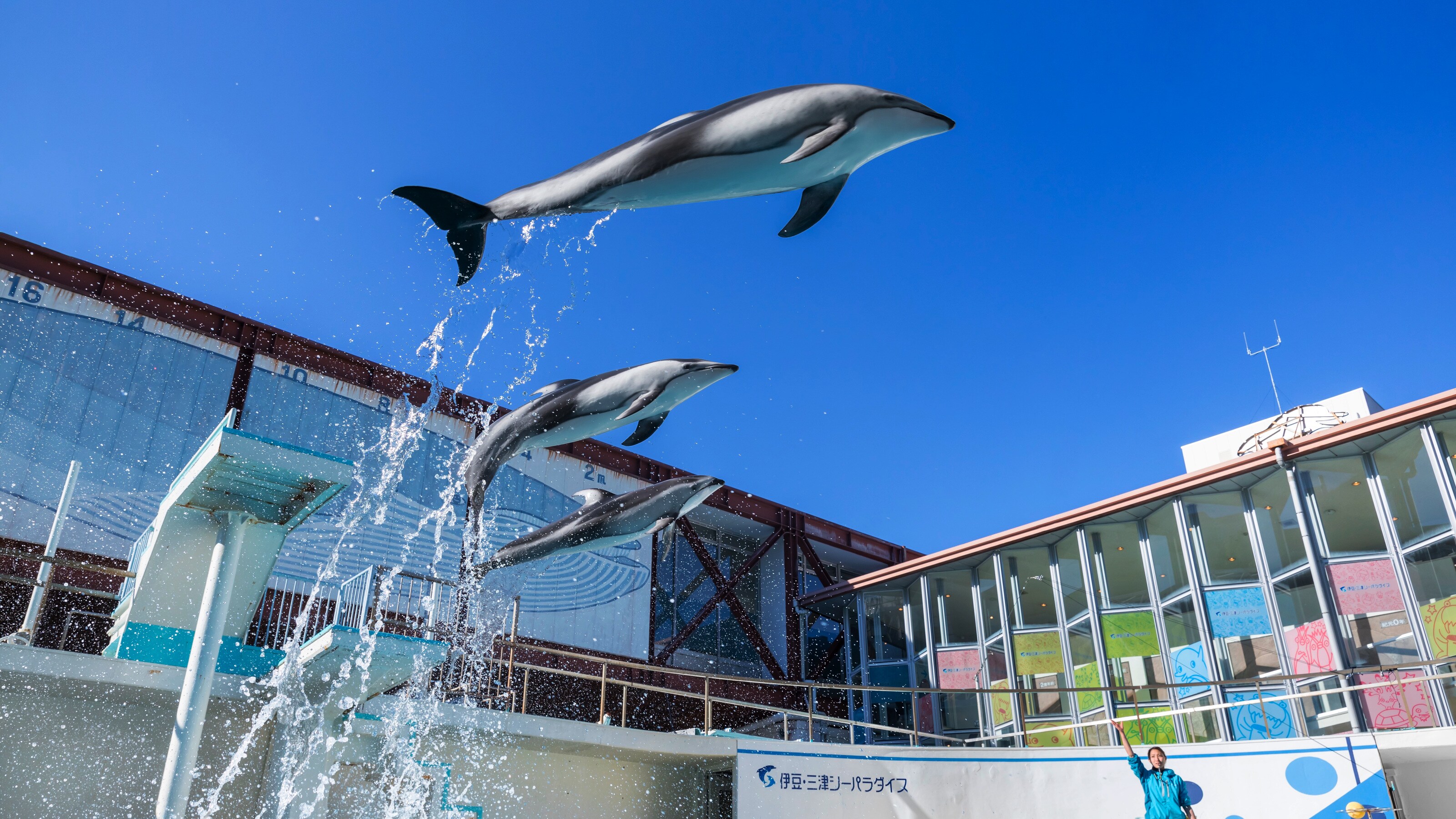 [Nearby sightseeing] Mitsu Sea Paradise