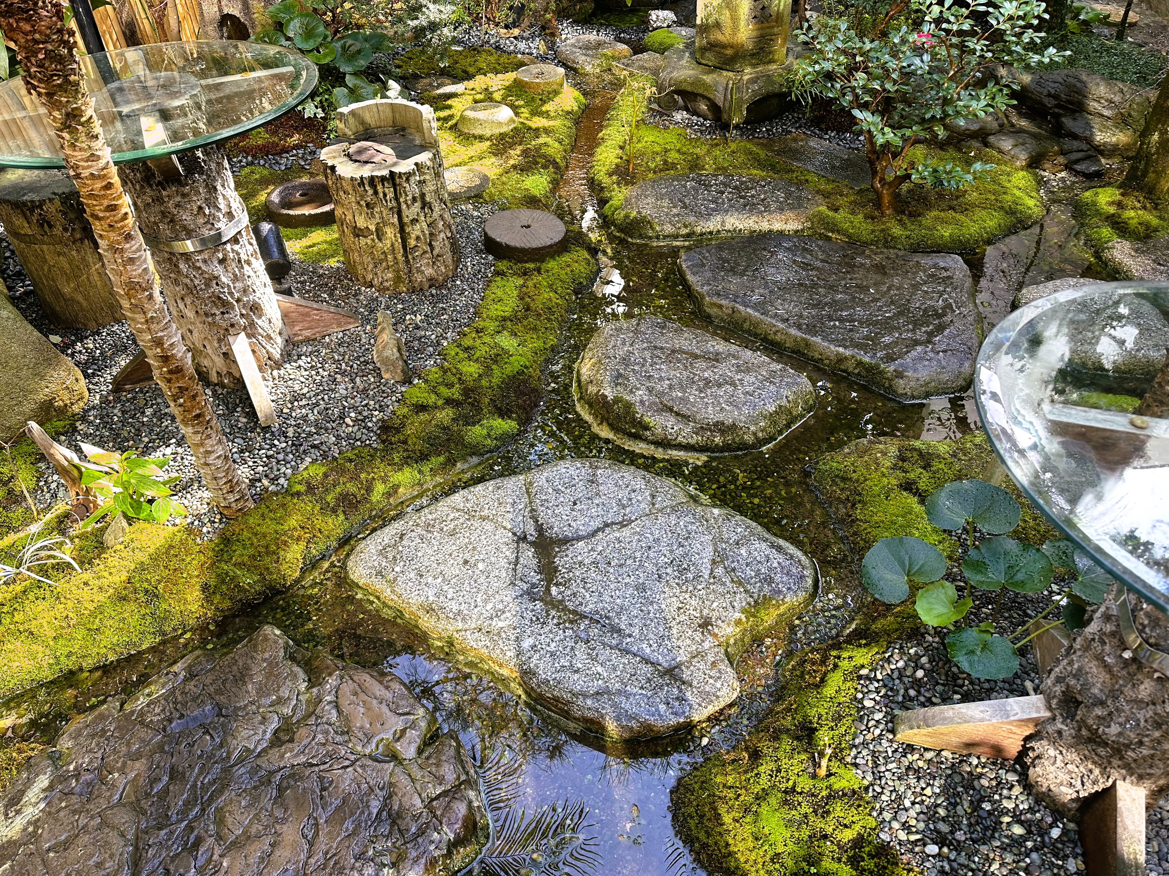 [苔藓花园] 大国川附近