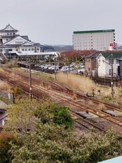 141.jpg