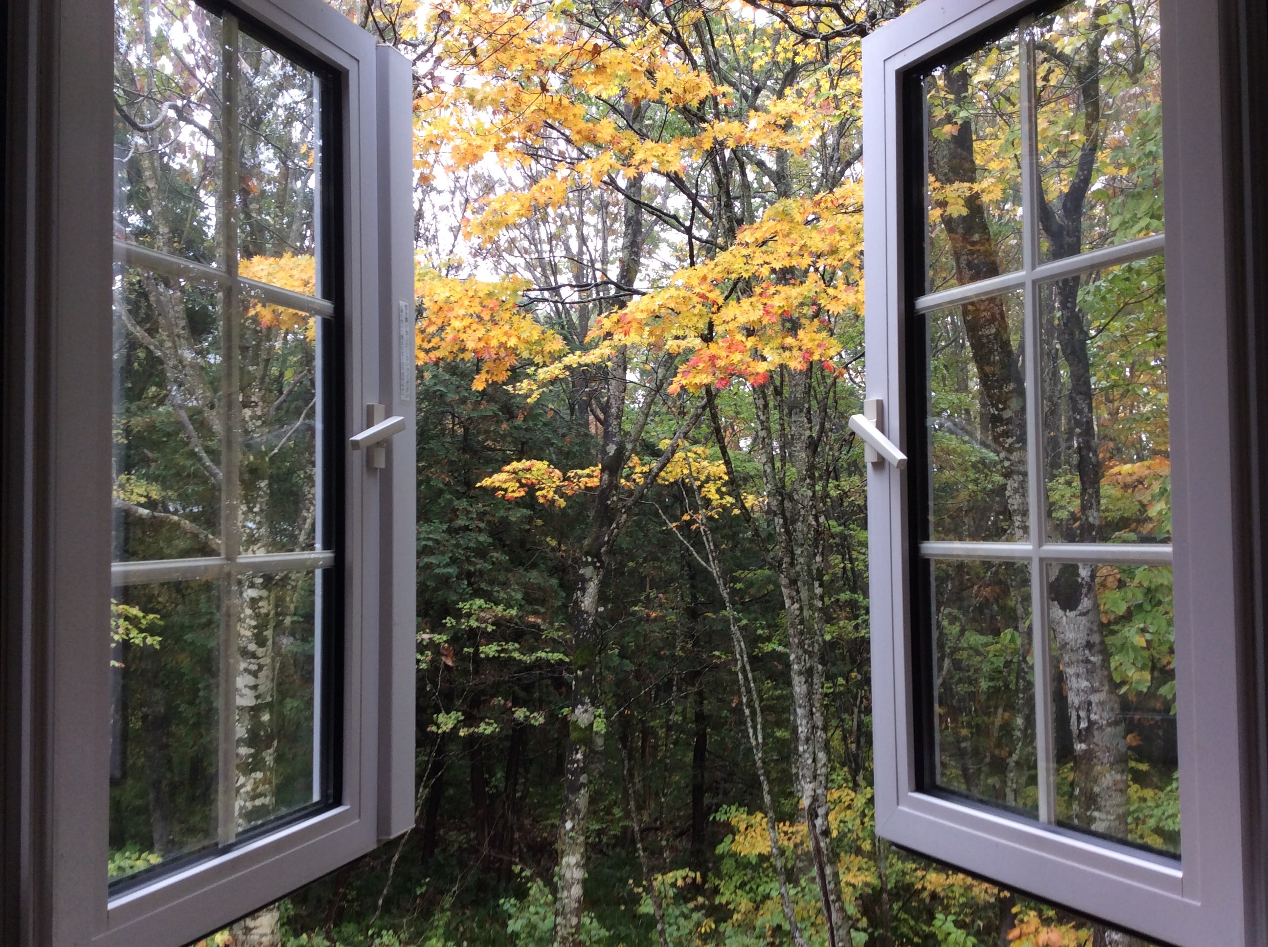 View from the twin room