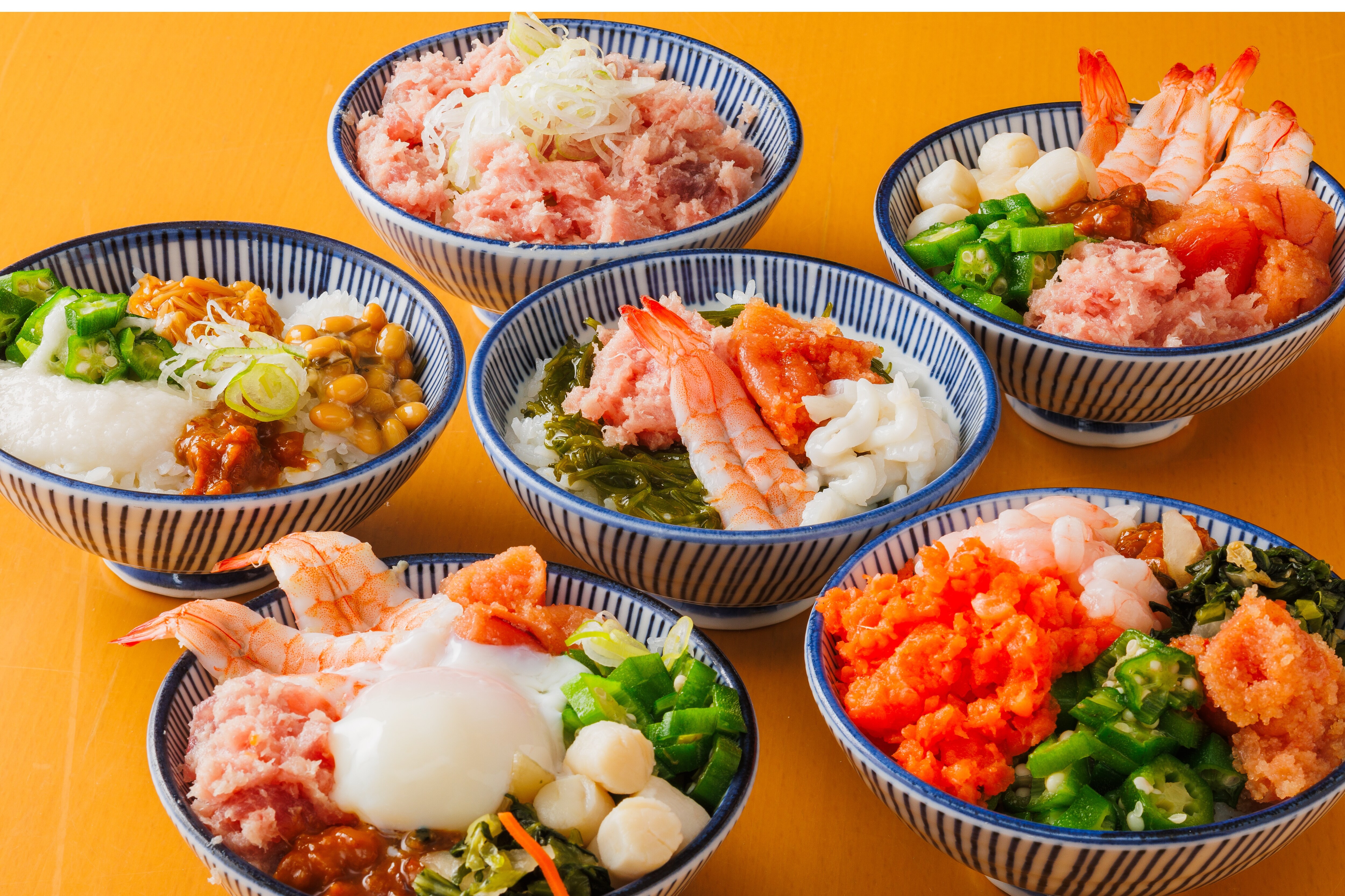 Wagamama Donburi 2025