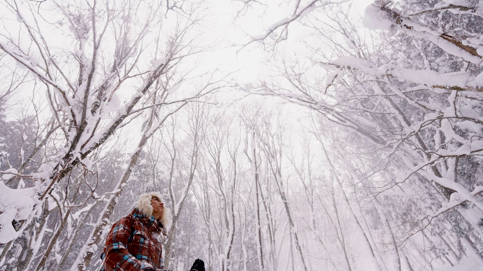 Shobara is the best in winter!