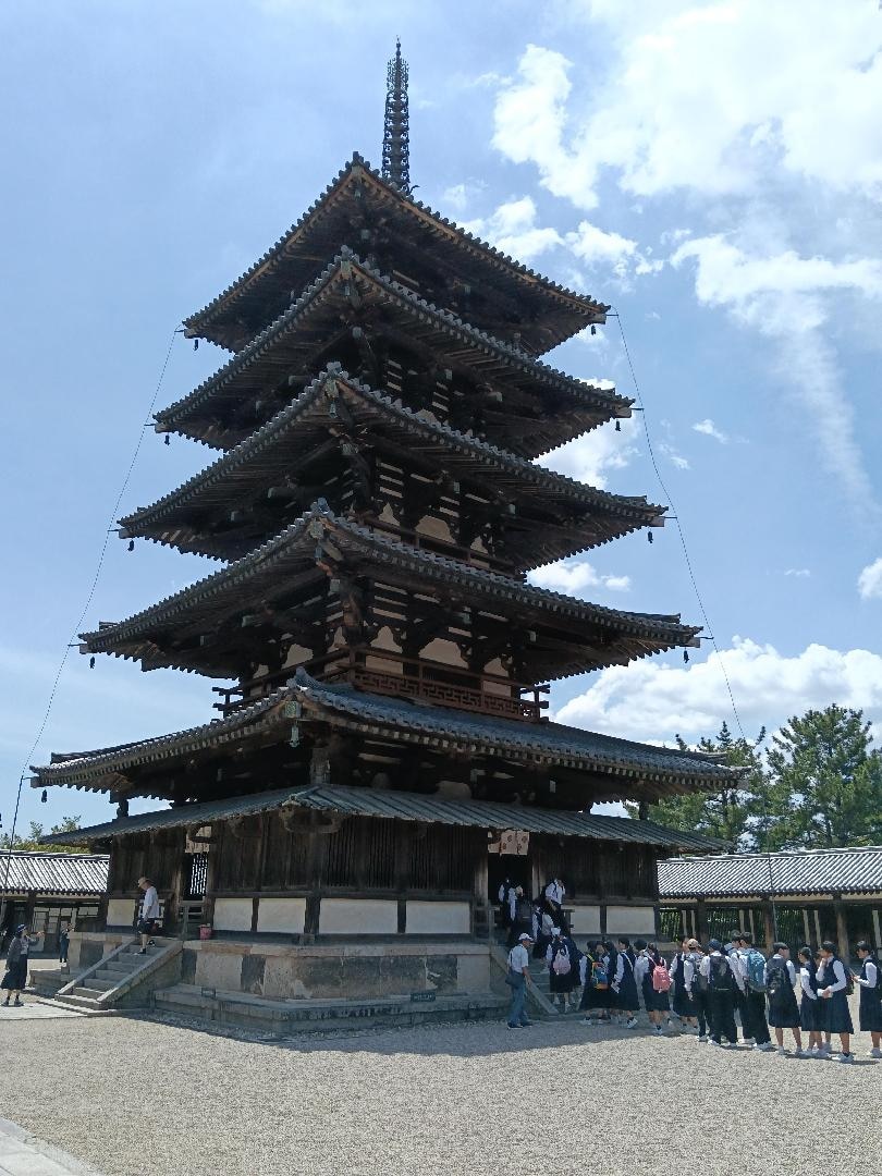 567.jpg