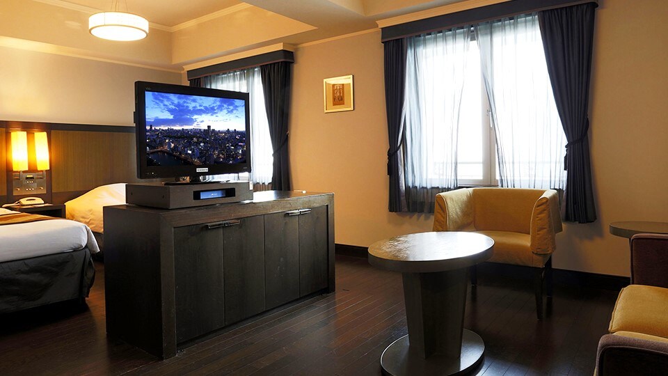 Deluxe twin (40 square meters)