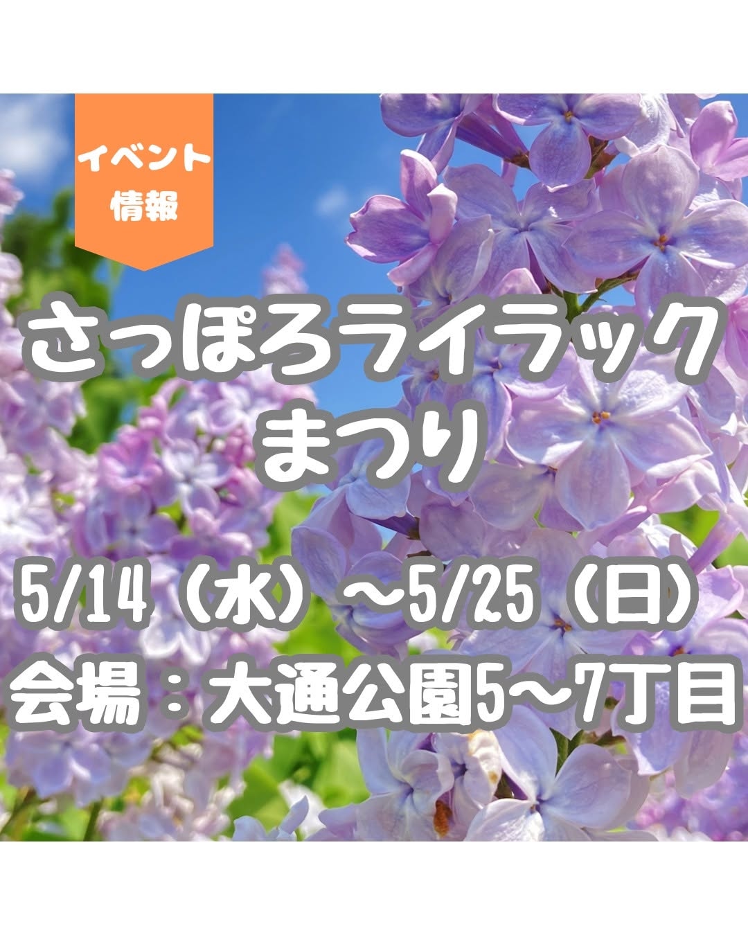 宿ニュース用：ライラックまつり2025