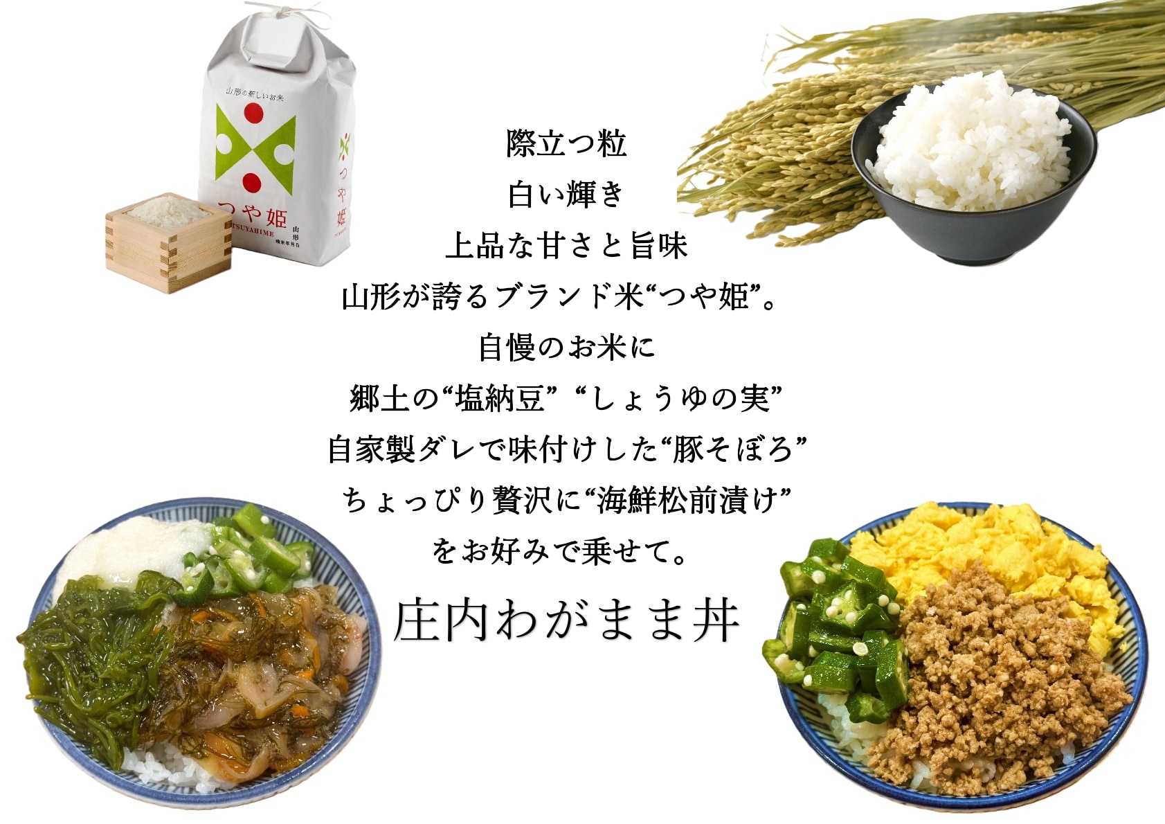 โชไน วากามามะ ดนบุริ