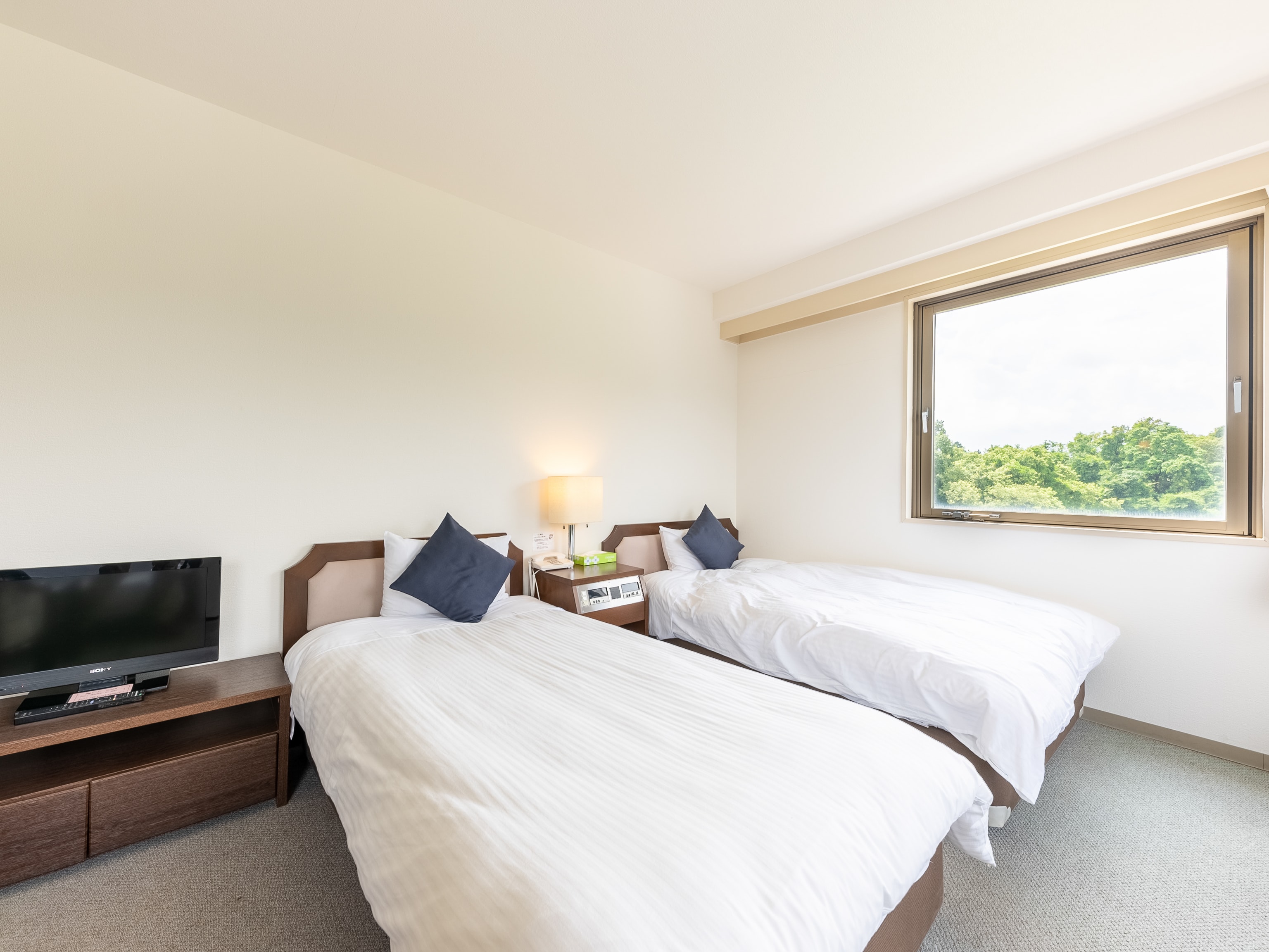Twin Deluxe Room