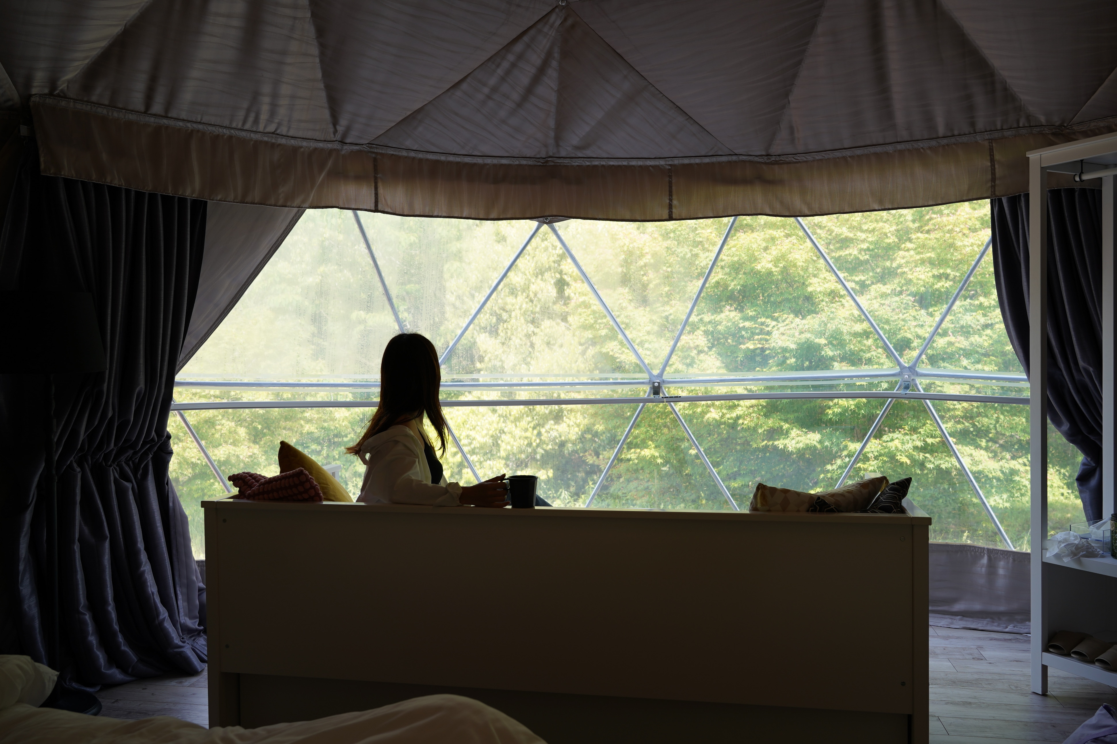 Forest view room
