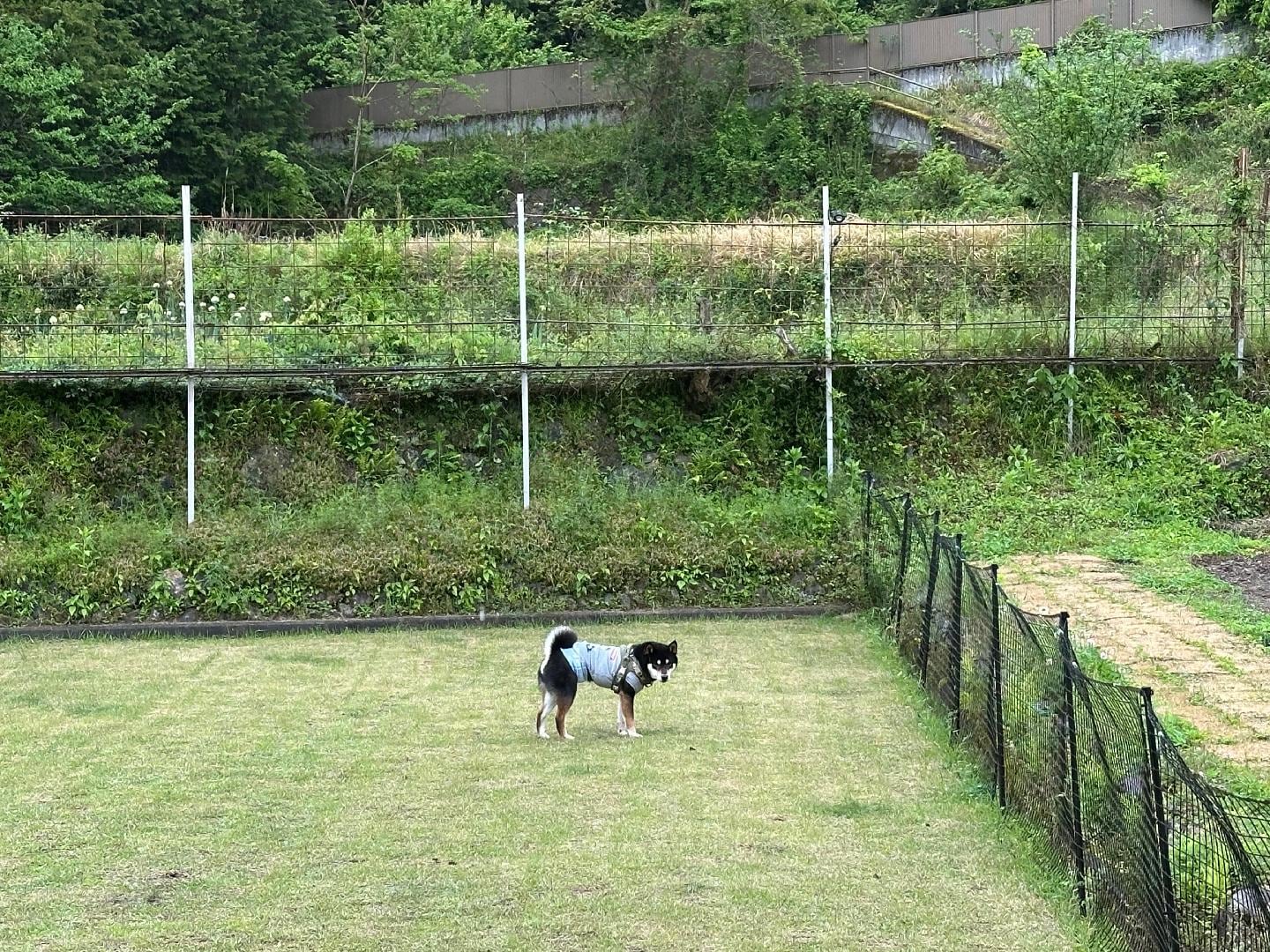 IMG_0299.jpeg