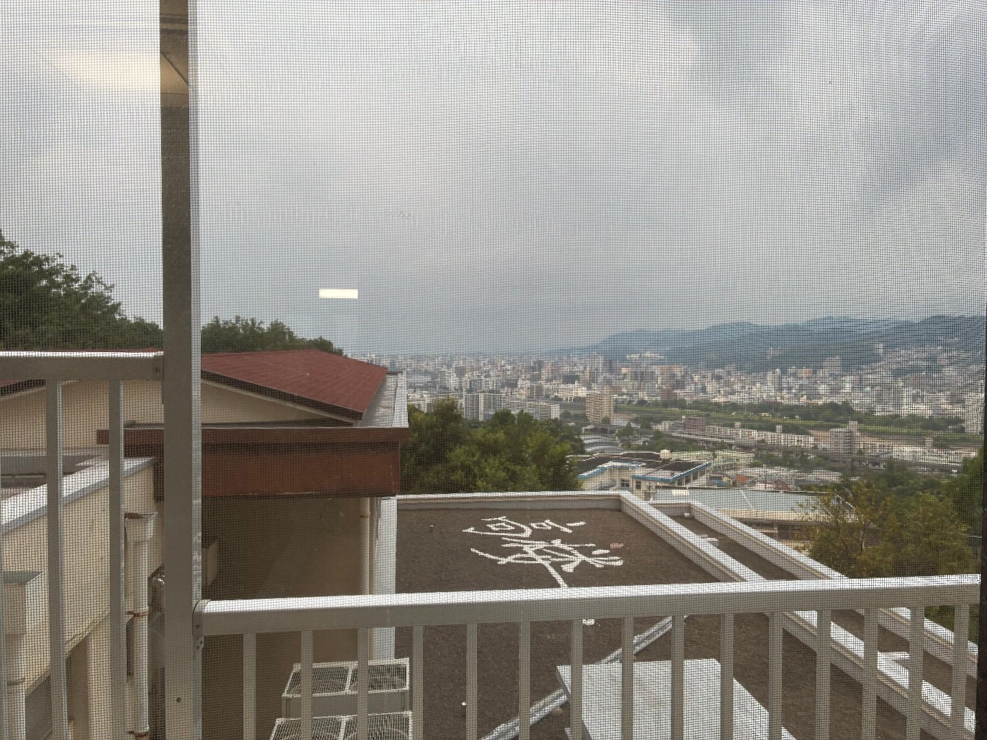 IMG_8874.jpeg