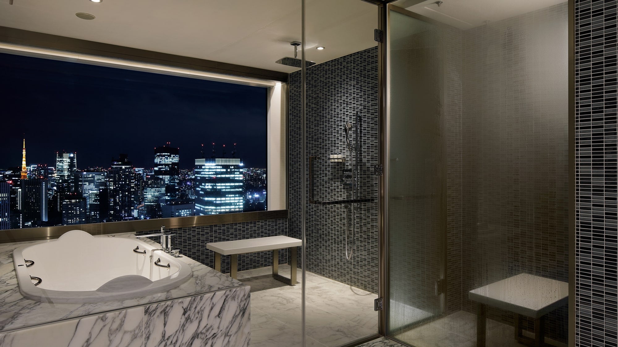 Designer Suite (Bathroom)
