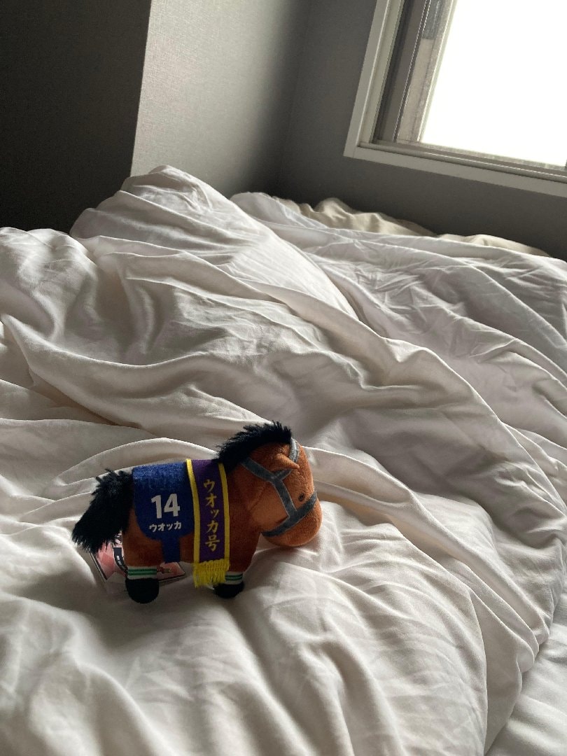 IMG_0661.jpeg