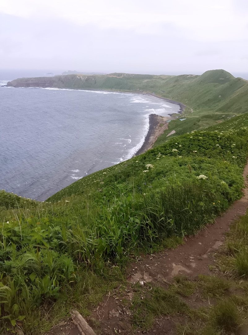 1000008077.jpg