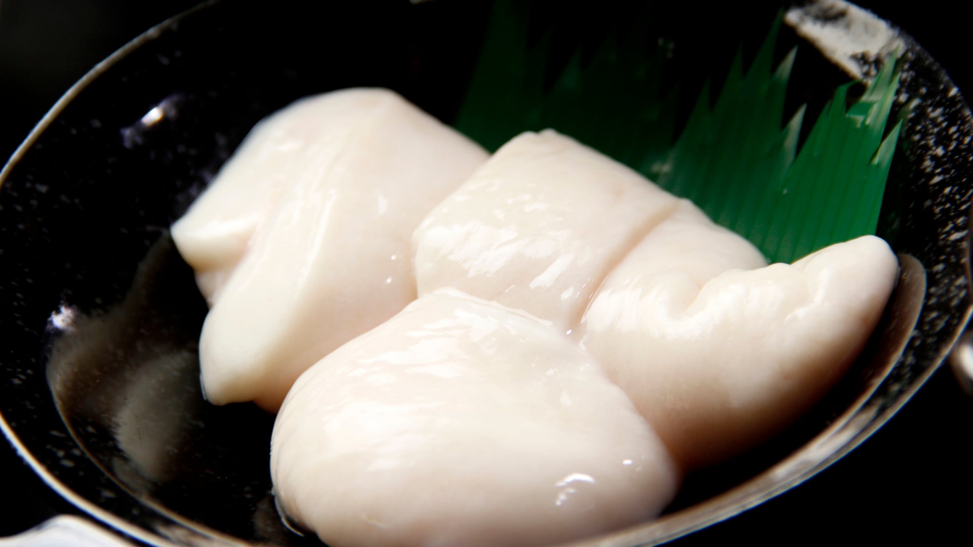 【복어풀코스】시라코