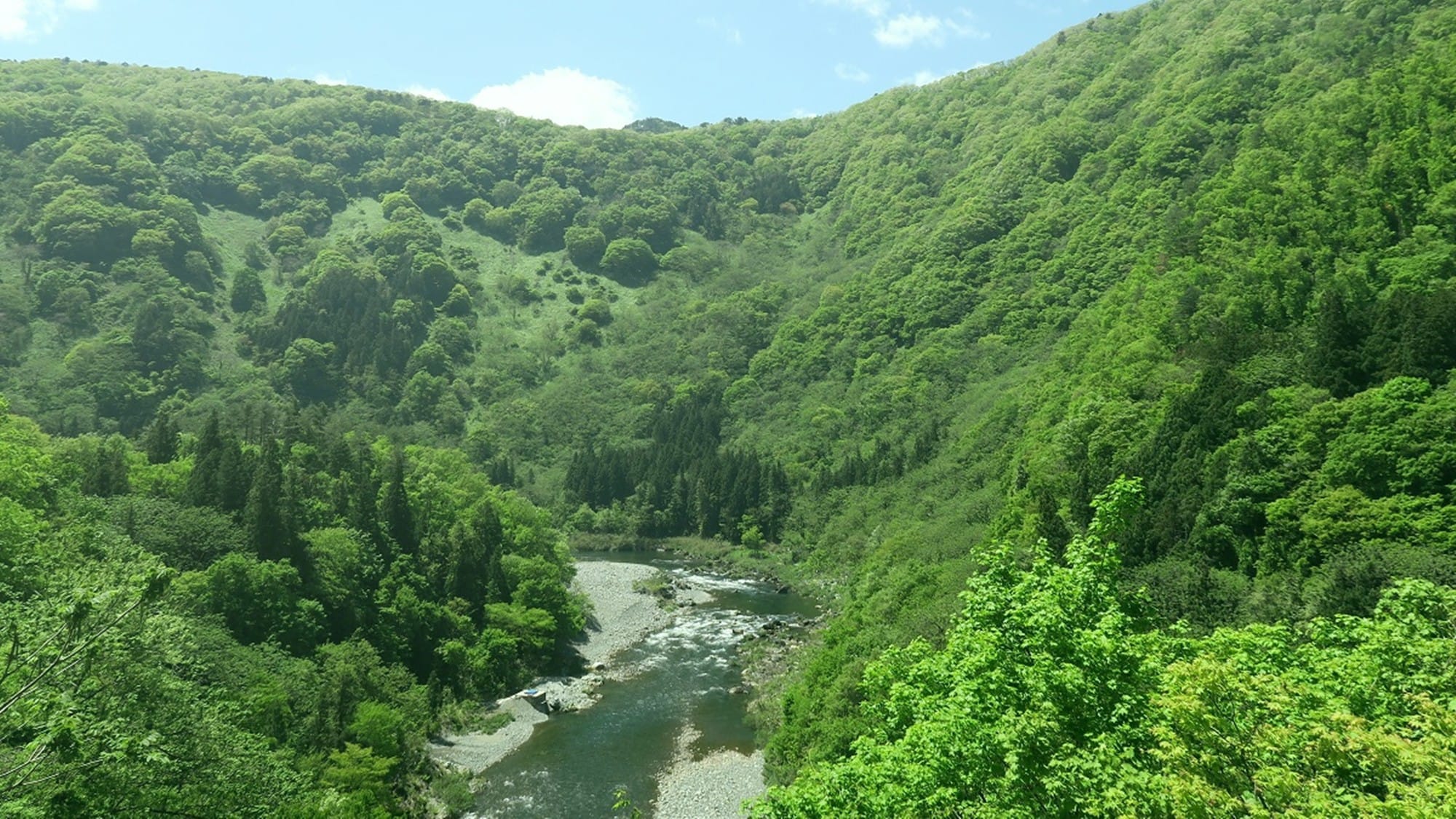 From [Room with open-air bath / Kawaoto Japanese-style room 12 tatami mats / Corner room / Aobasho], a fresh green valley