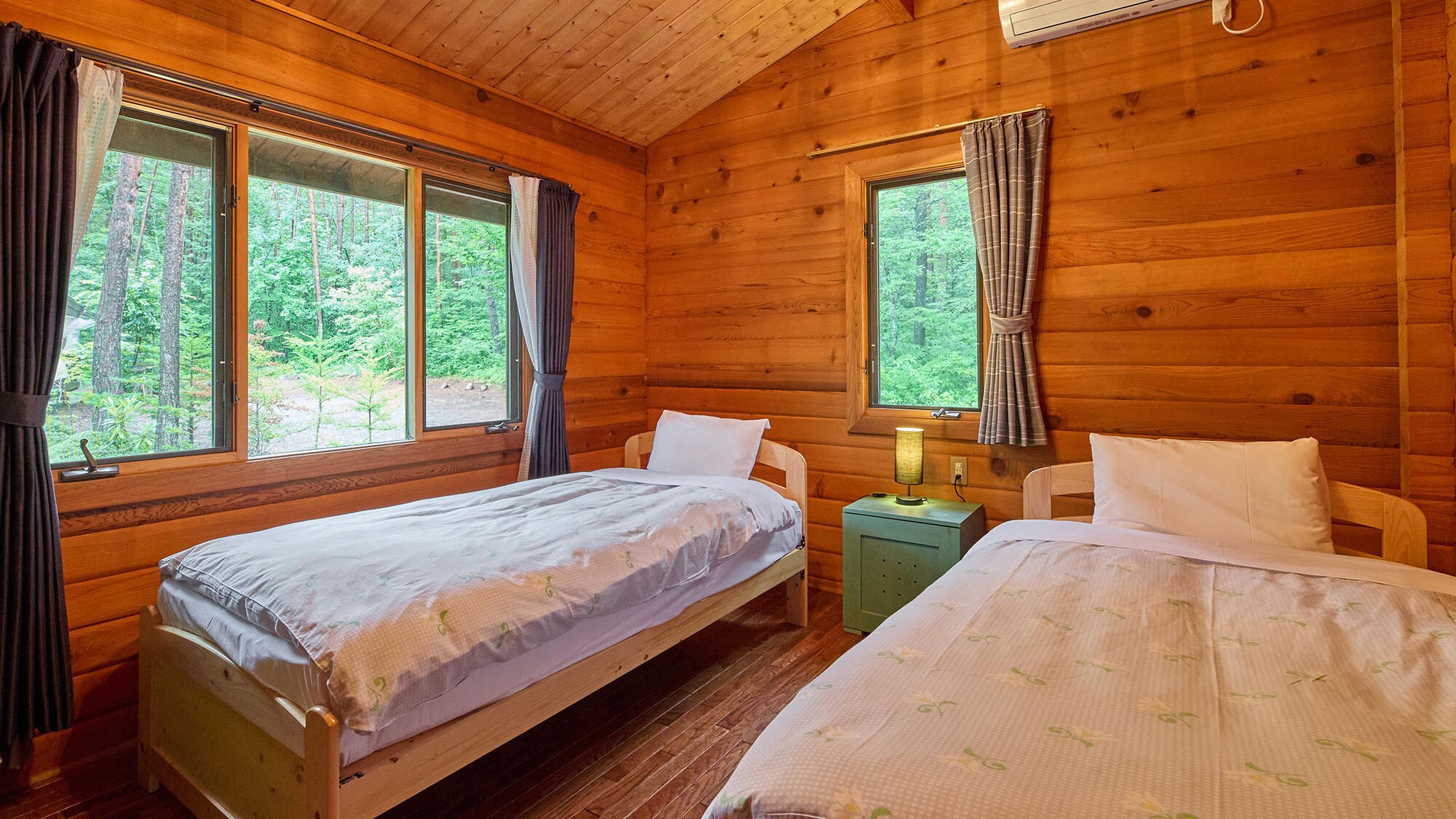 ・[Ann] A twin bedroom with a view of the promenade and forest from the window.