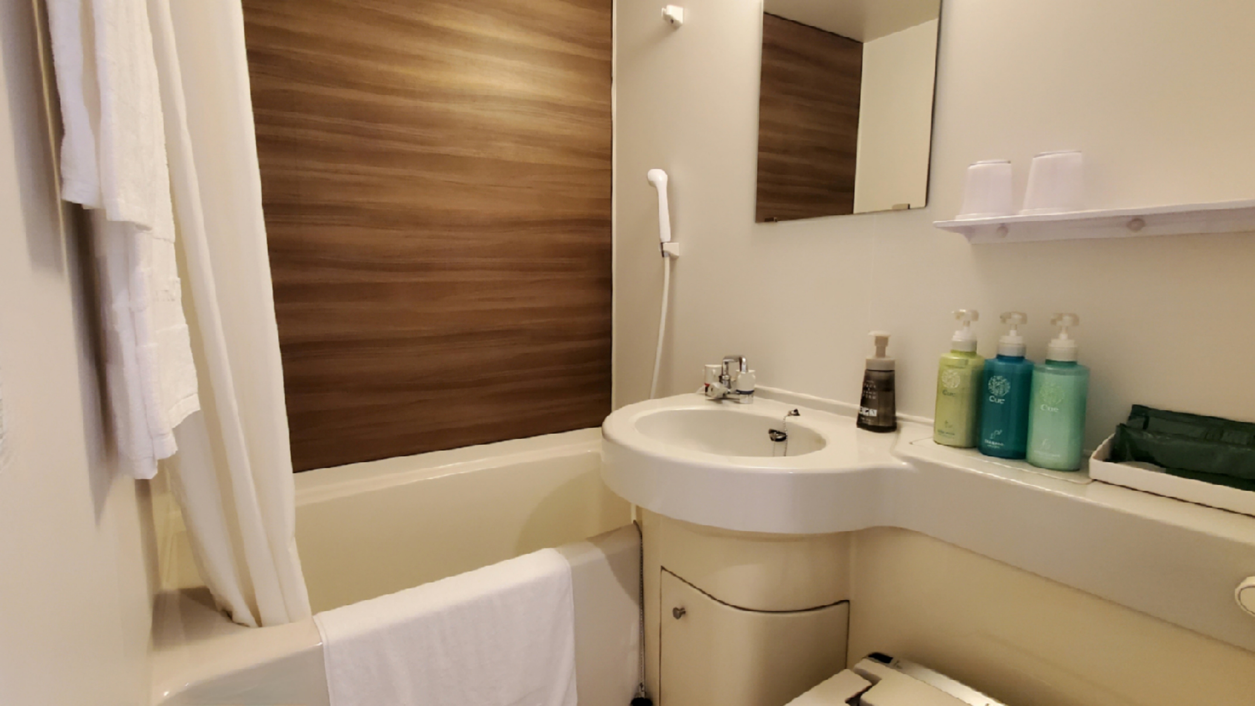 Twin room with unit bathroom
