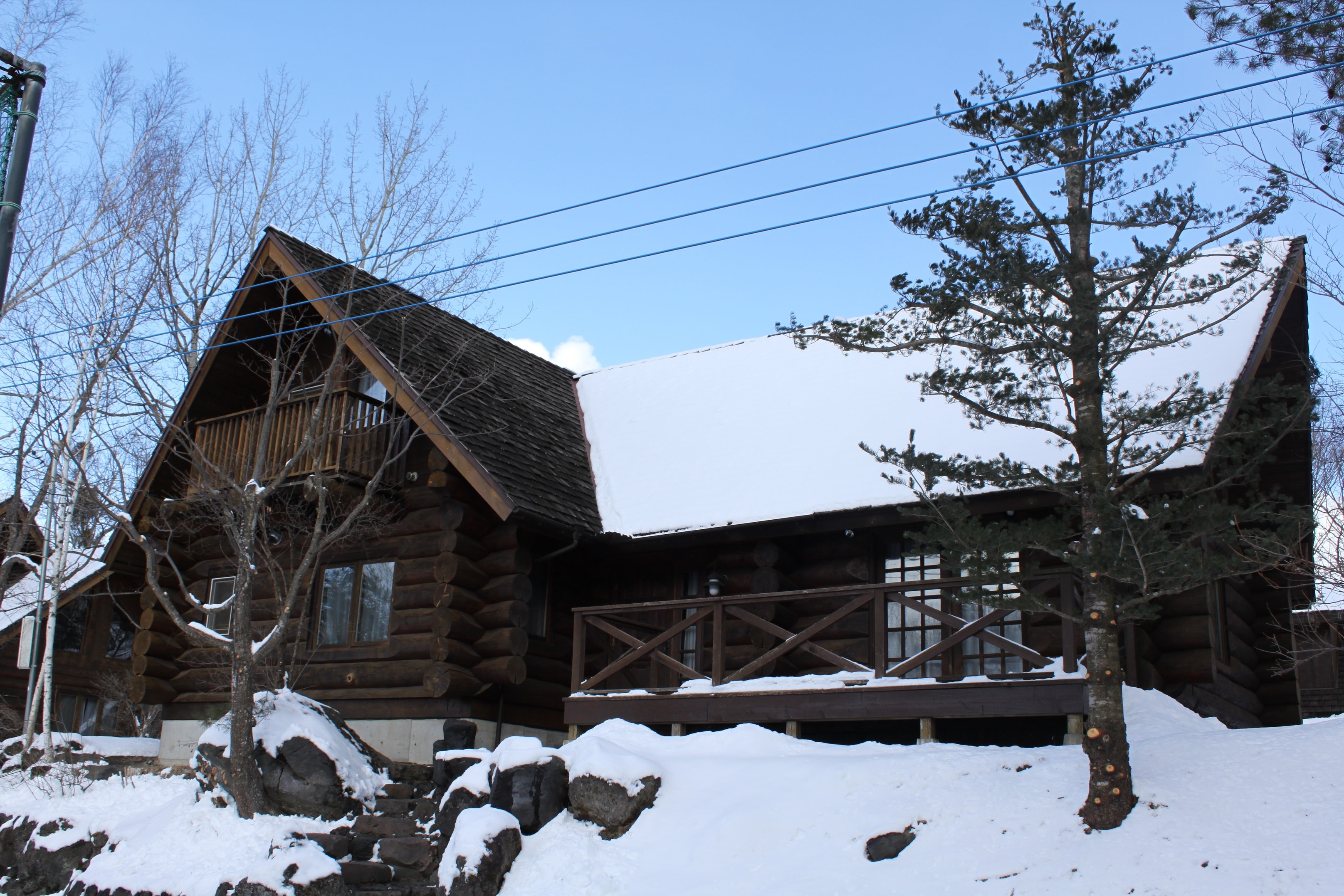 Winter Building No. 3 (Cuckoo)