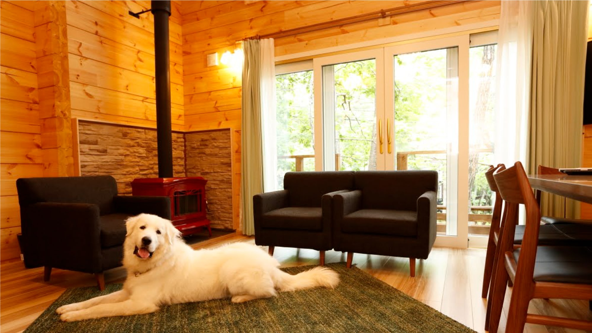 【로그 프리미엄～숲(Forest)～】넓은 거실