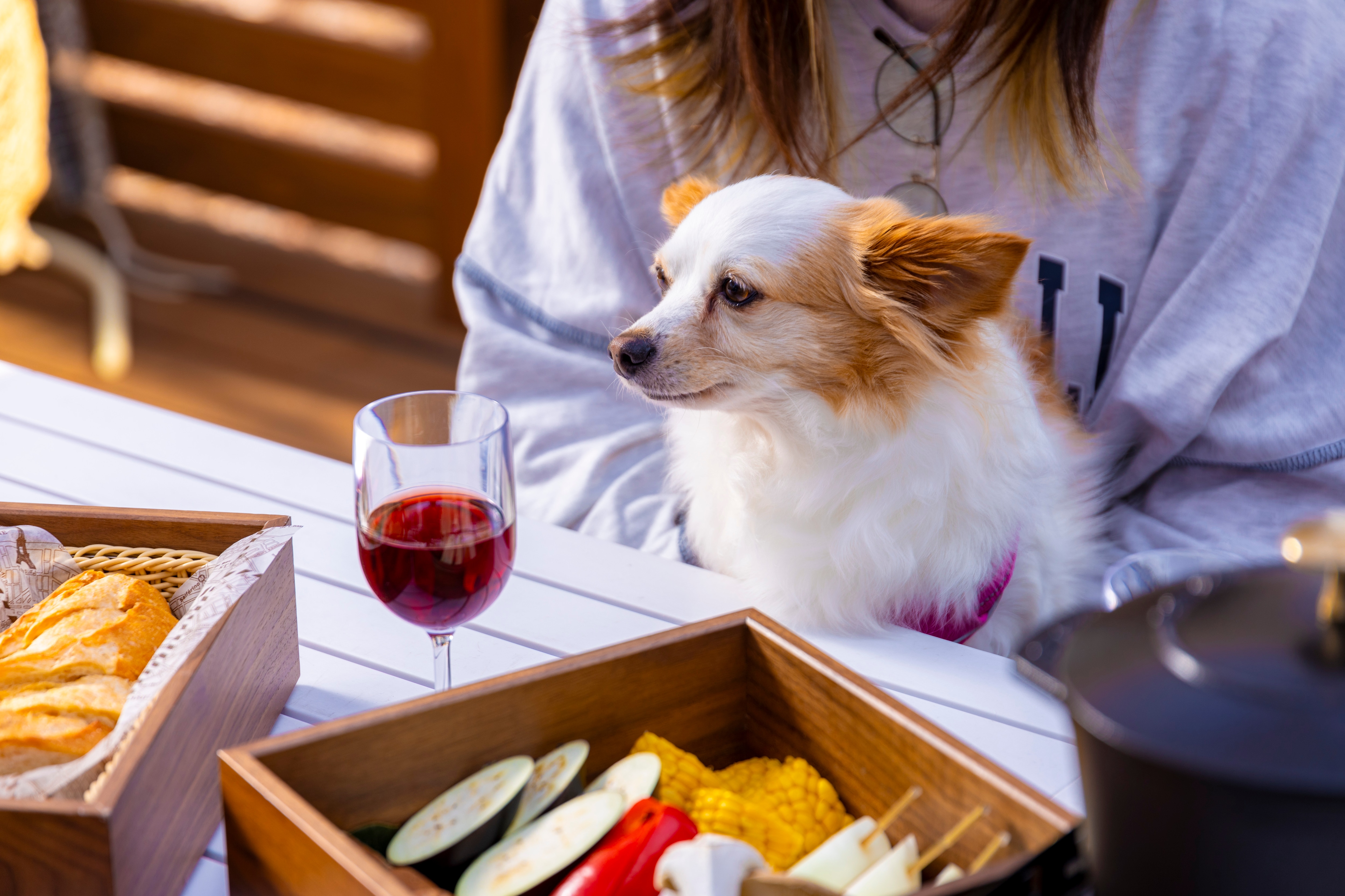 Dog_5