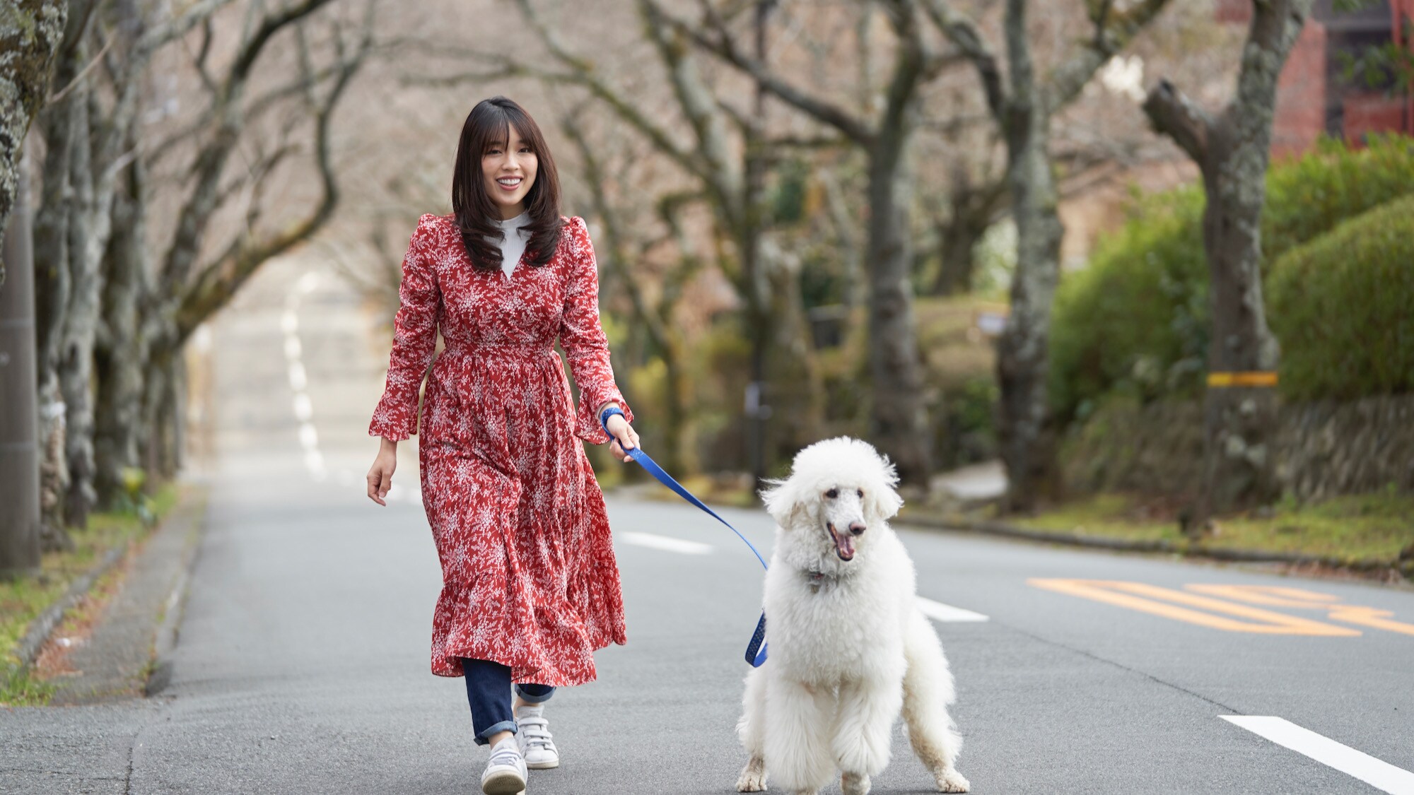 Hotel information and reservations for Pet & Spa Hotel Izu Kogen