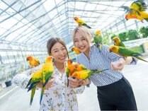 Flower and Bird Garden Plan