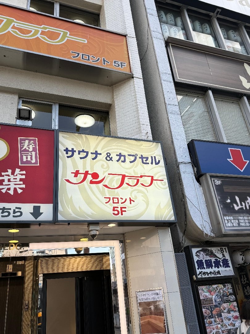 IMG_2980.jpeg