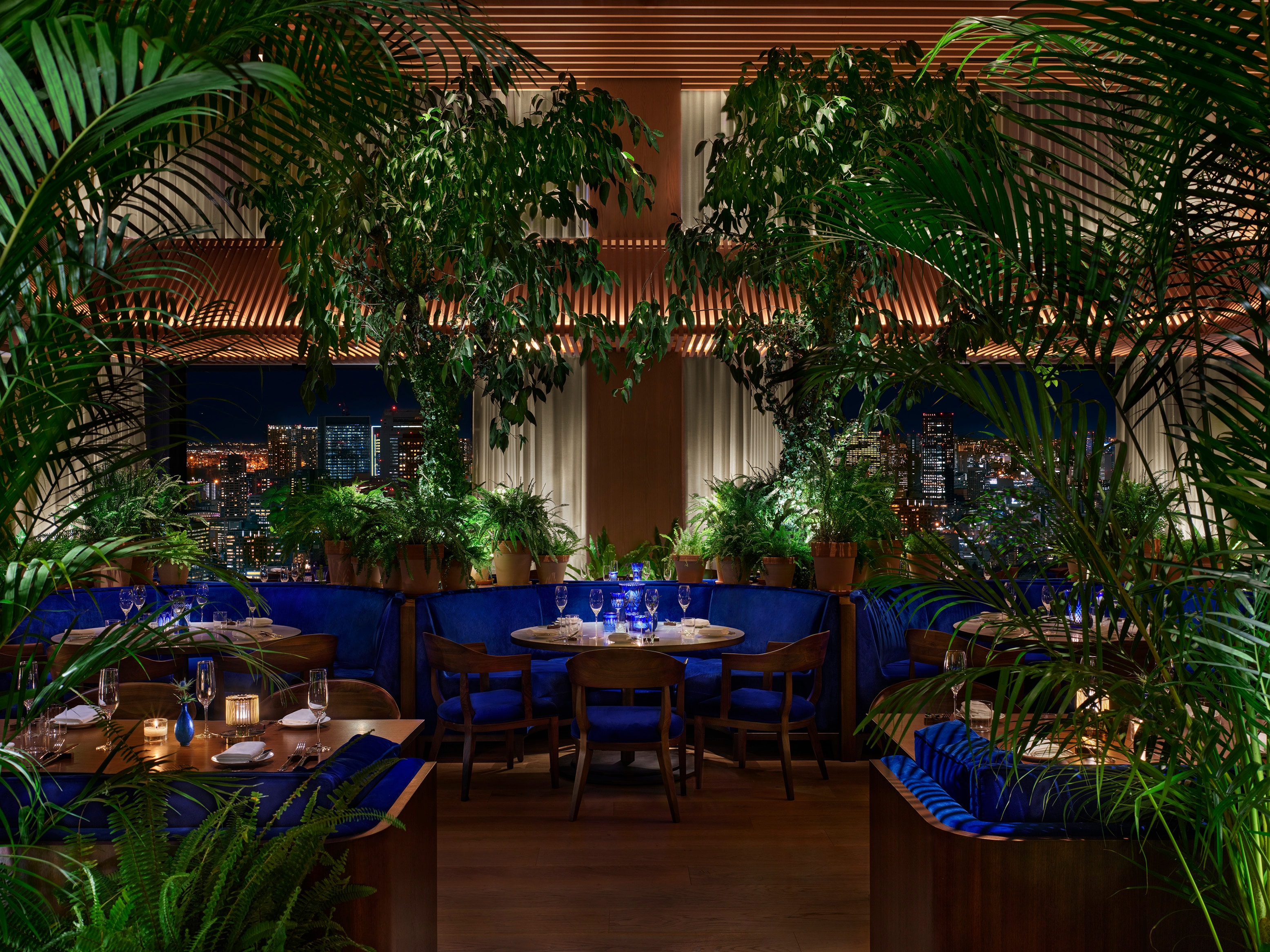 The Blue Room