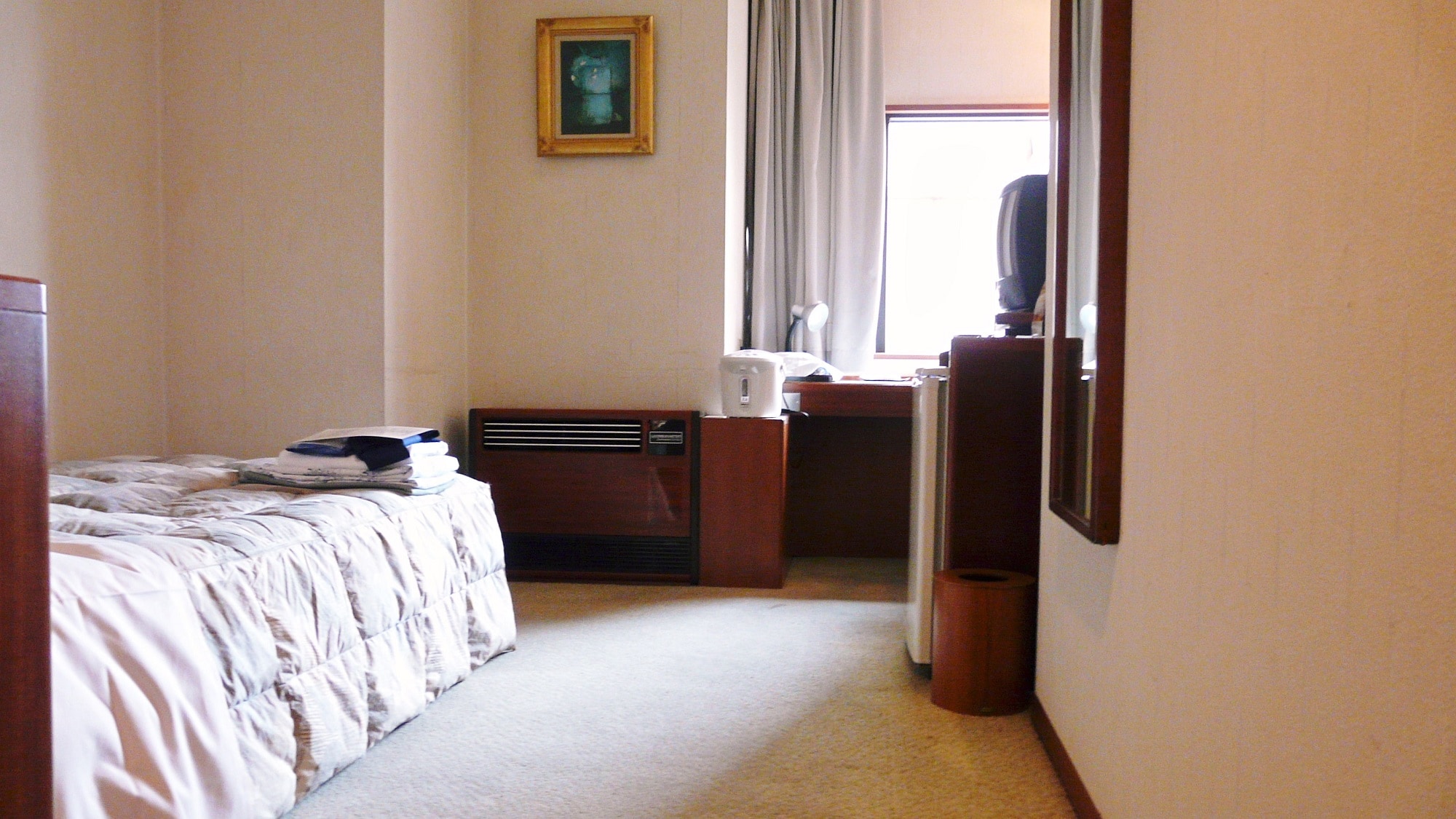 Non-smoking single room (Western-style room)