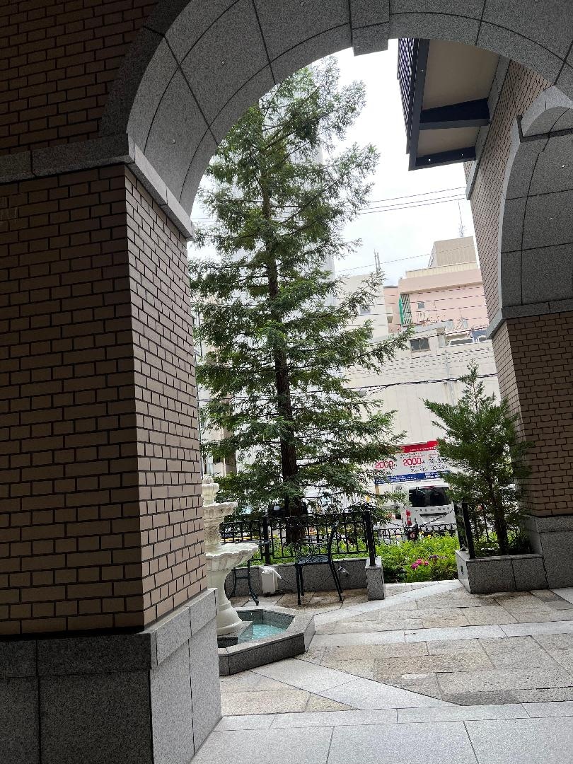 F0EAE71C-D9CB-4EAA-A9A1-69753AC577C5.jpeg