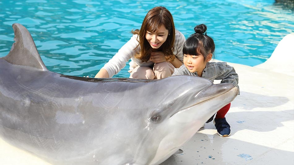 สถานที่ท่องเที่ยวใกล้เคียง