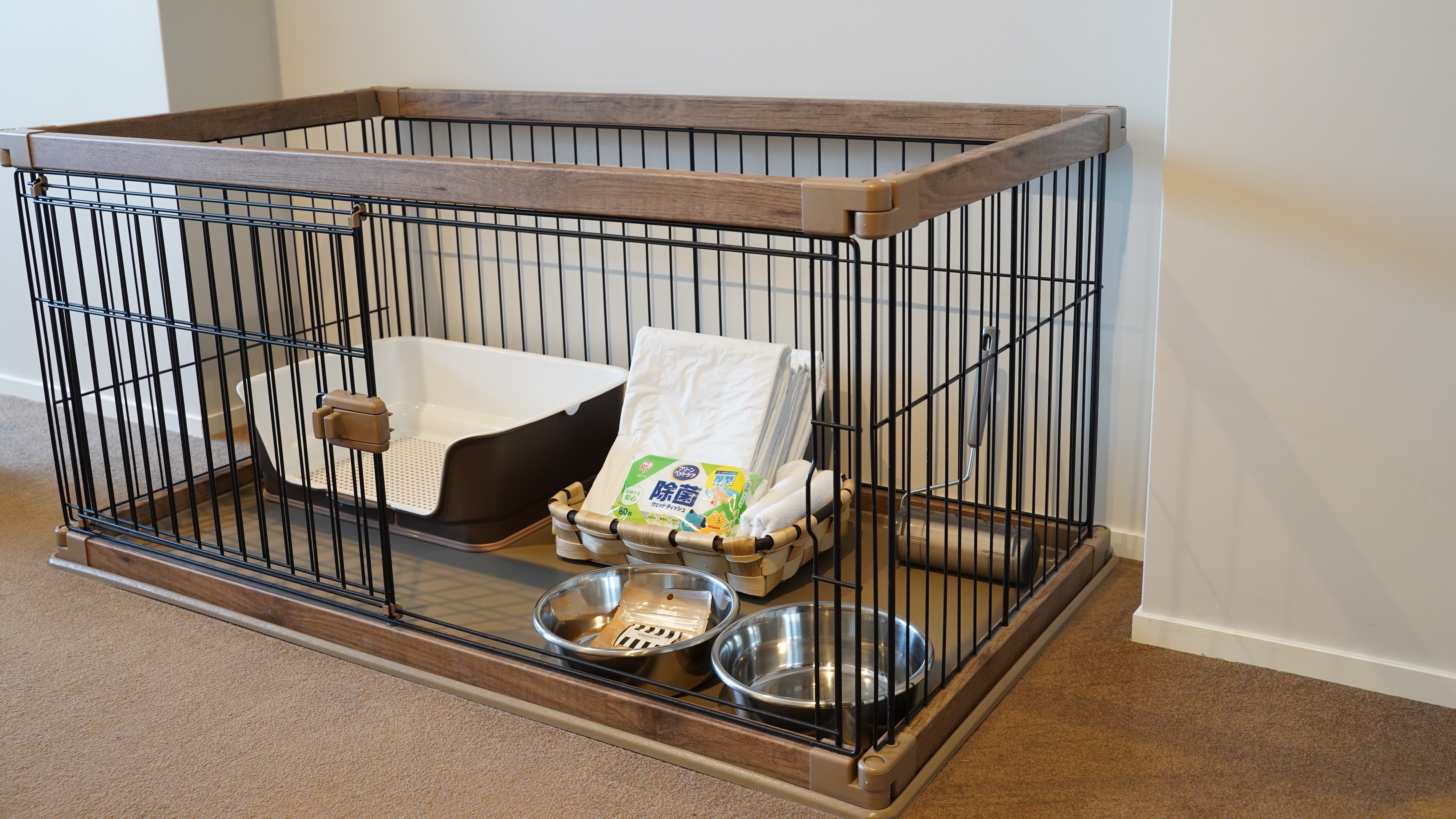 Dog Terrace Room