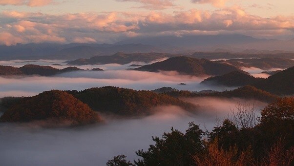 Daisen Observation Deck (5 minutes by car from Yunogo Onsen) October to February If you can see it in the early morning on a cold and sunny day, you're lucky!