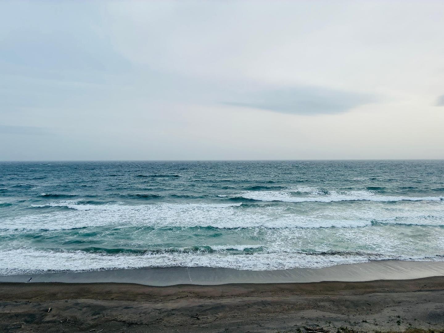 42AB9729-82C1-4BA8-9C56-31F37D862356.jpeg