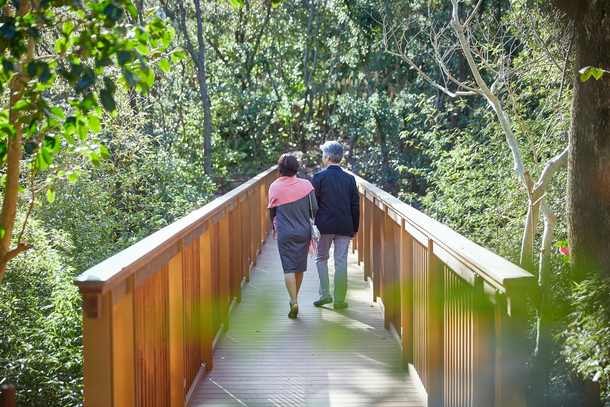 bridge