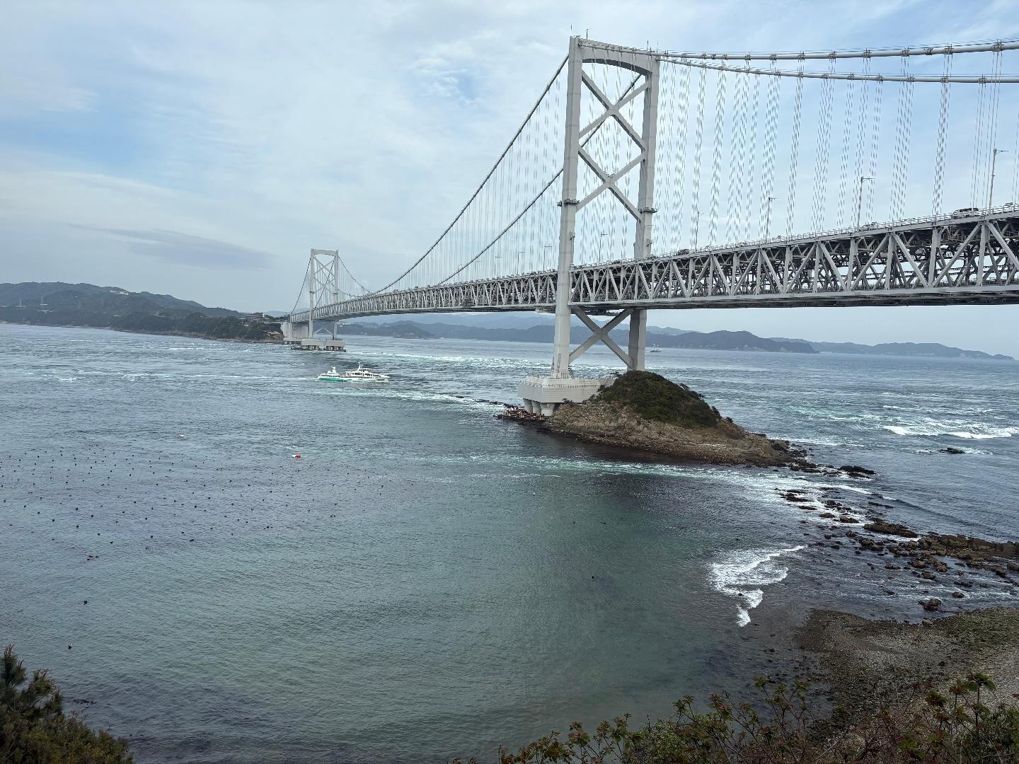 98462DB3-F4A1-4AC8-9639-A416480C542B.jpeg