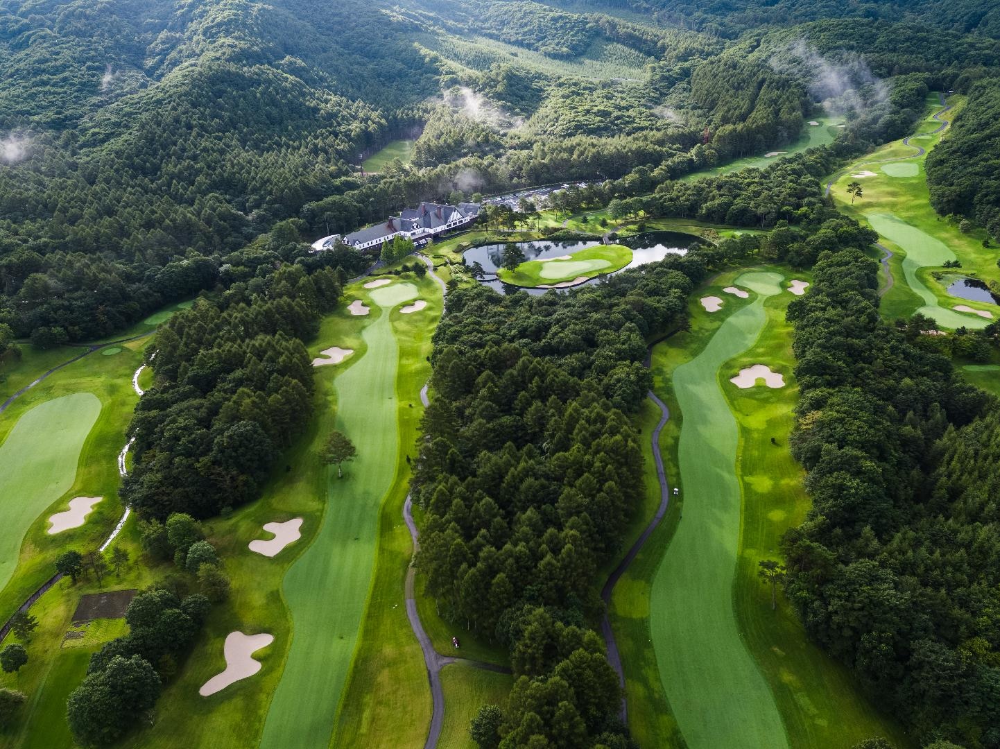 Aerial photo①